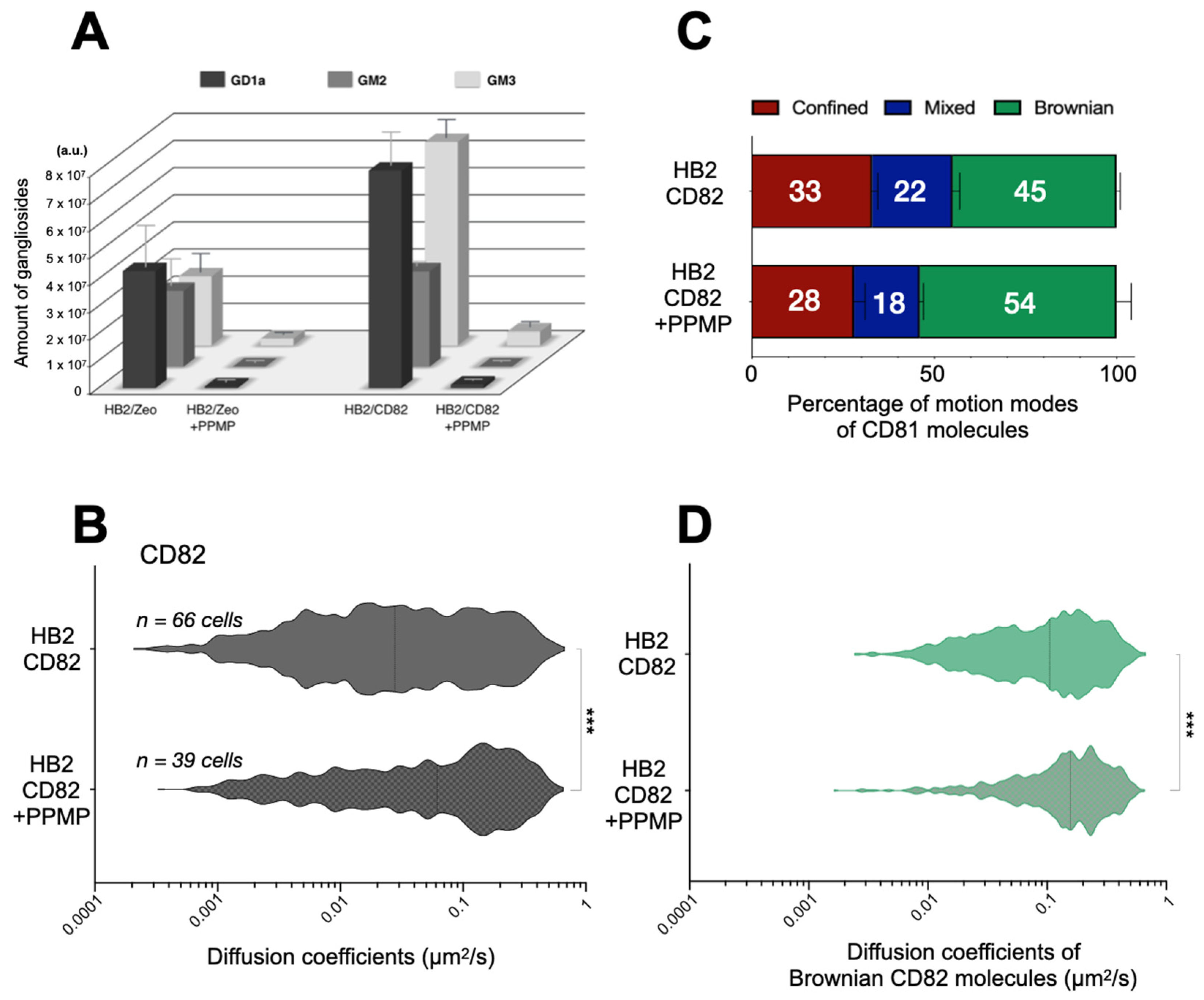 Ijms 22 08459 g004 Ijms 22 08459 g004