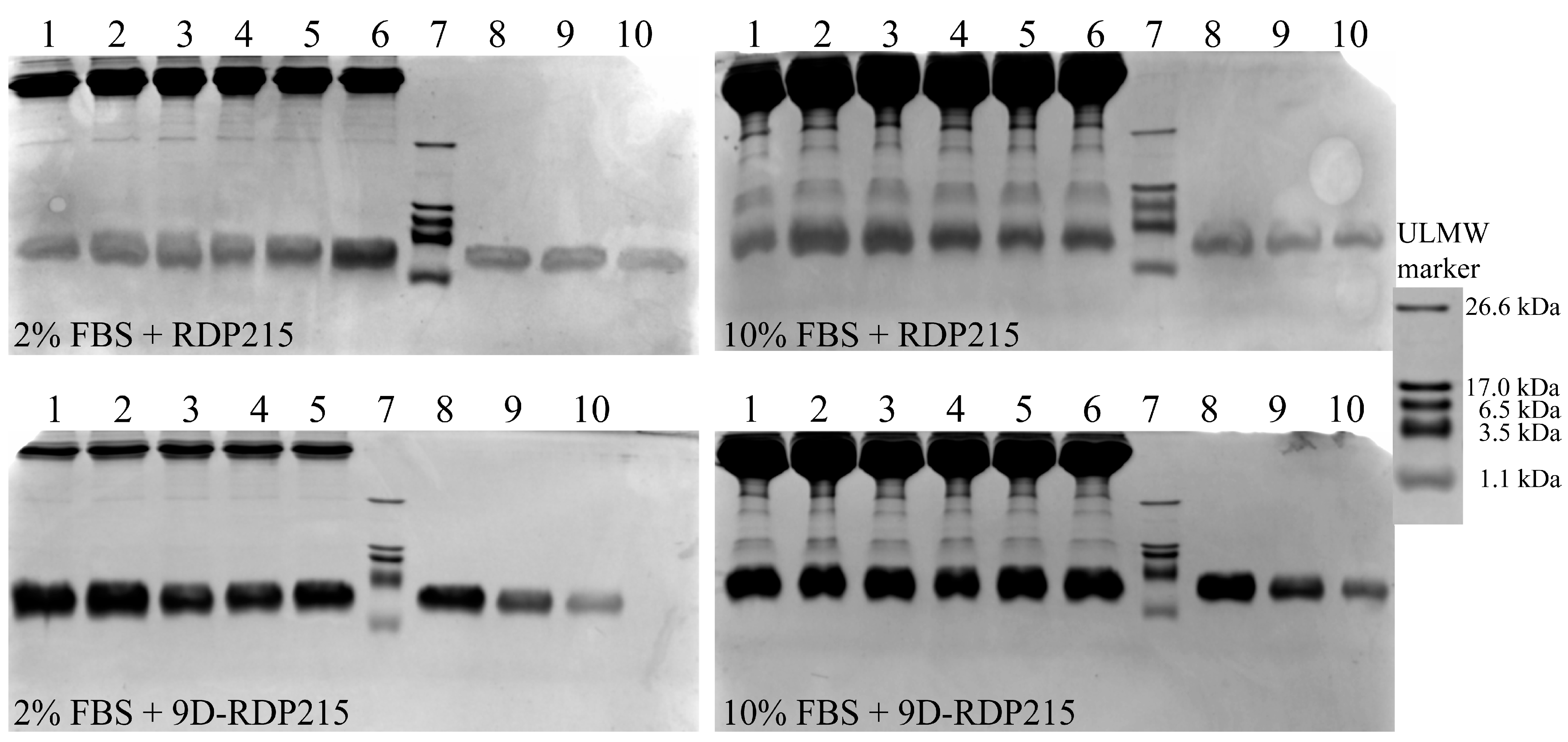 Ijms 22 08469 g007 Ijms 22 08469 g007