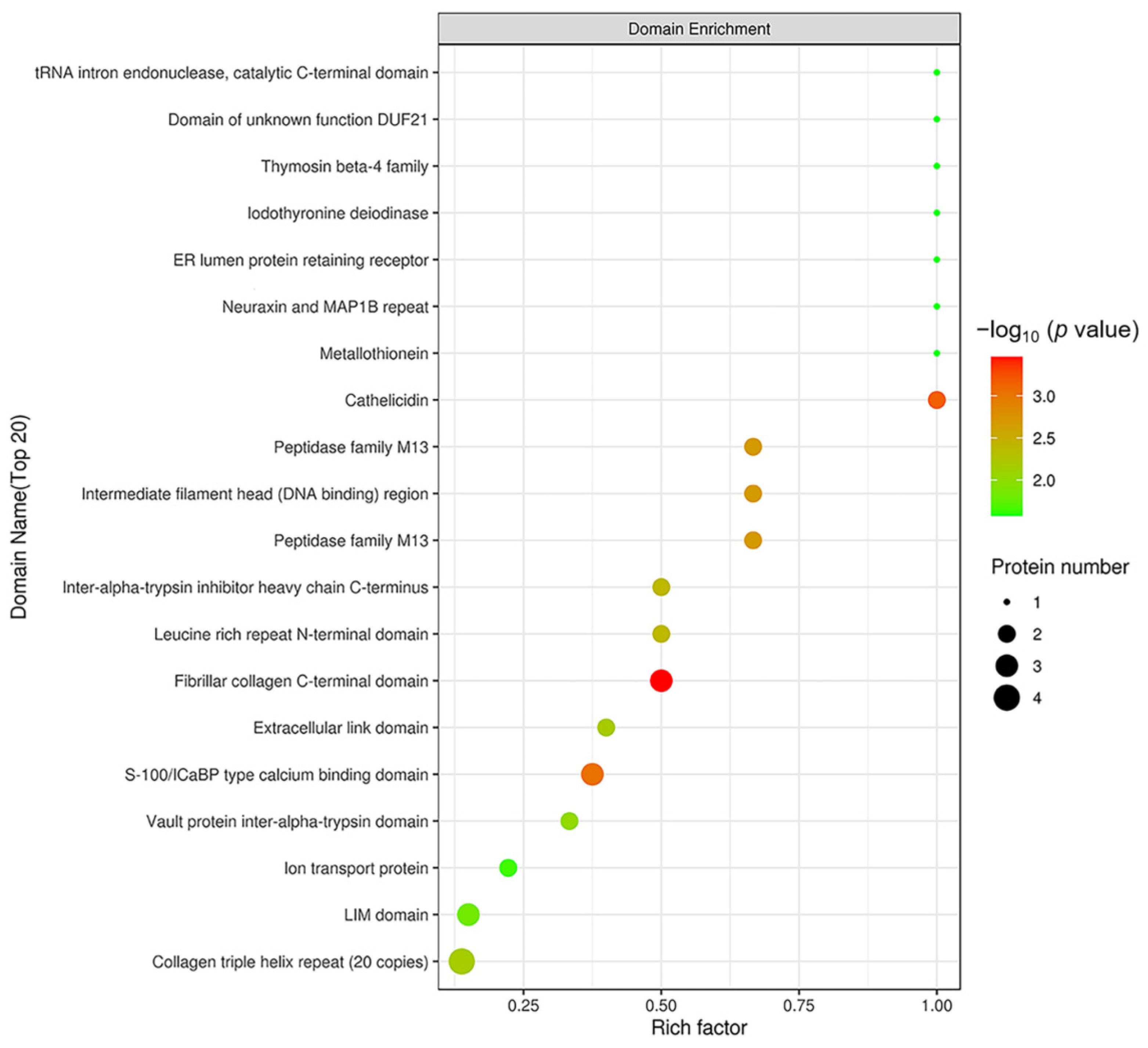 Ijms 22 08515 g008 Ijms 22 08515 g008