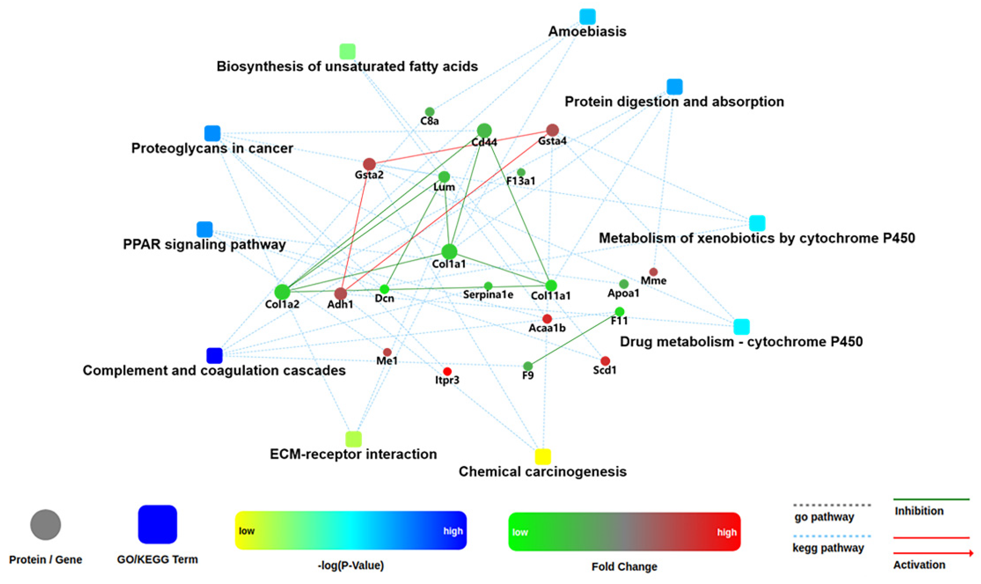 Ijms 22 08515 g011 Ijms 22 08515 g011