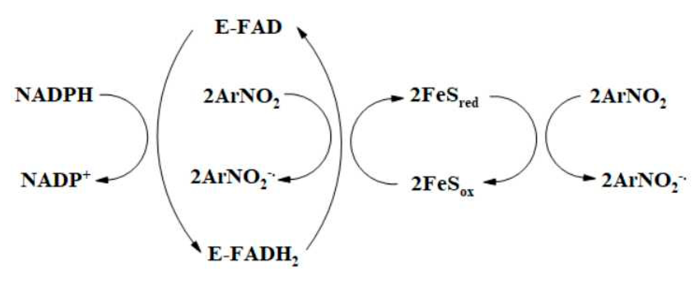 Ijms 22 08534 sch002