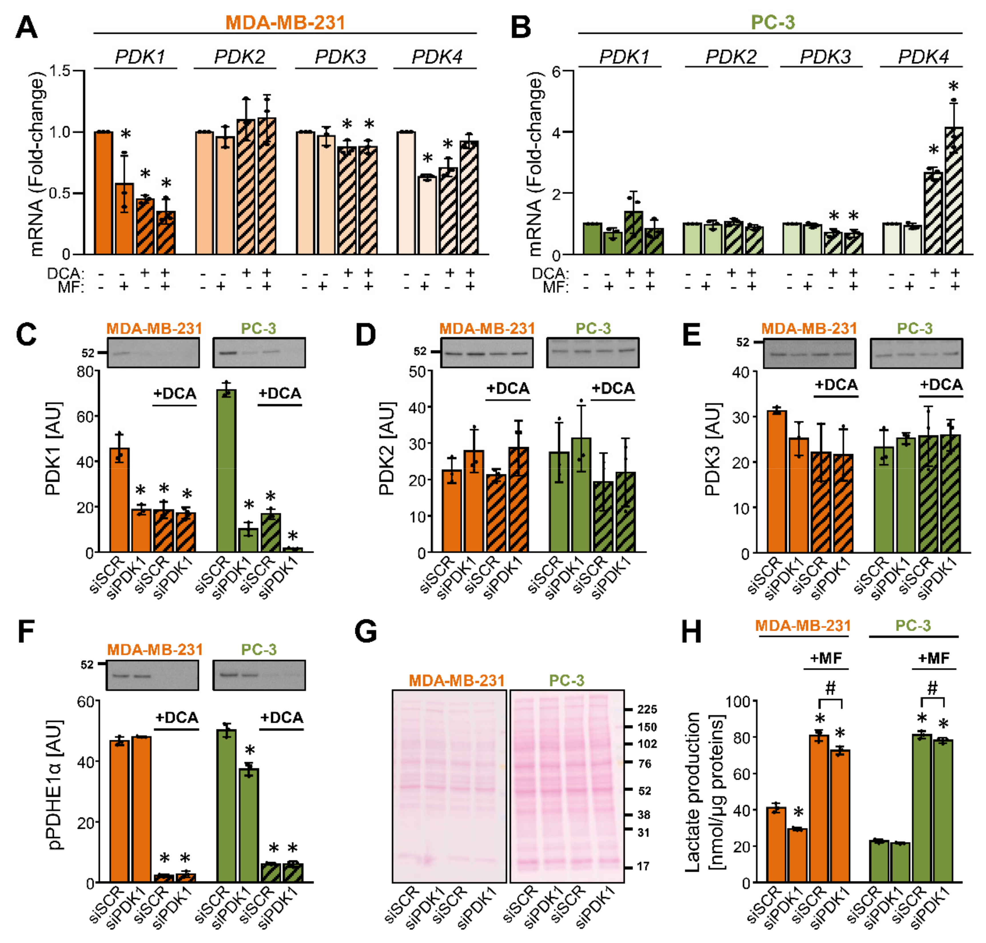 Ijms 22 08610 g003 Ijms 22 08610 g003