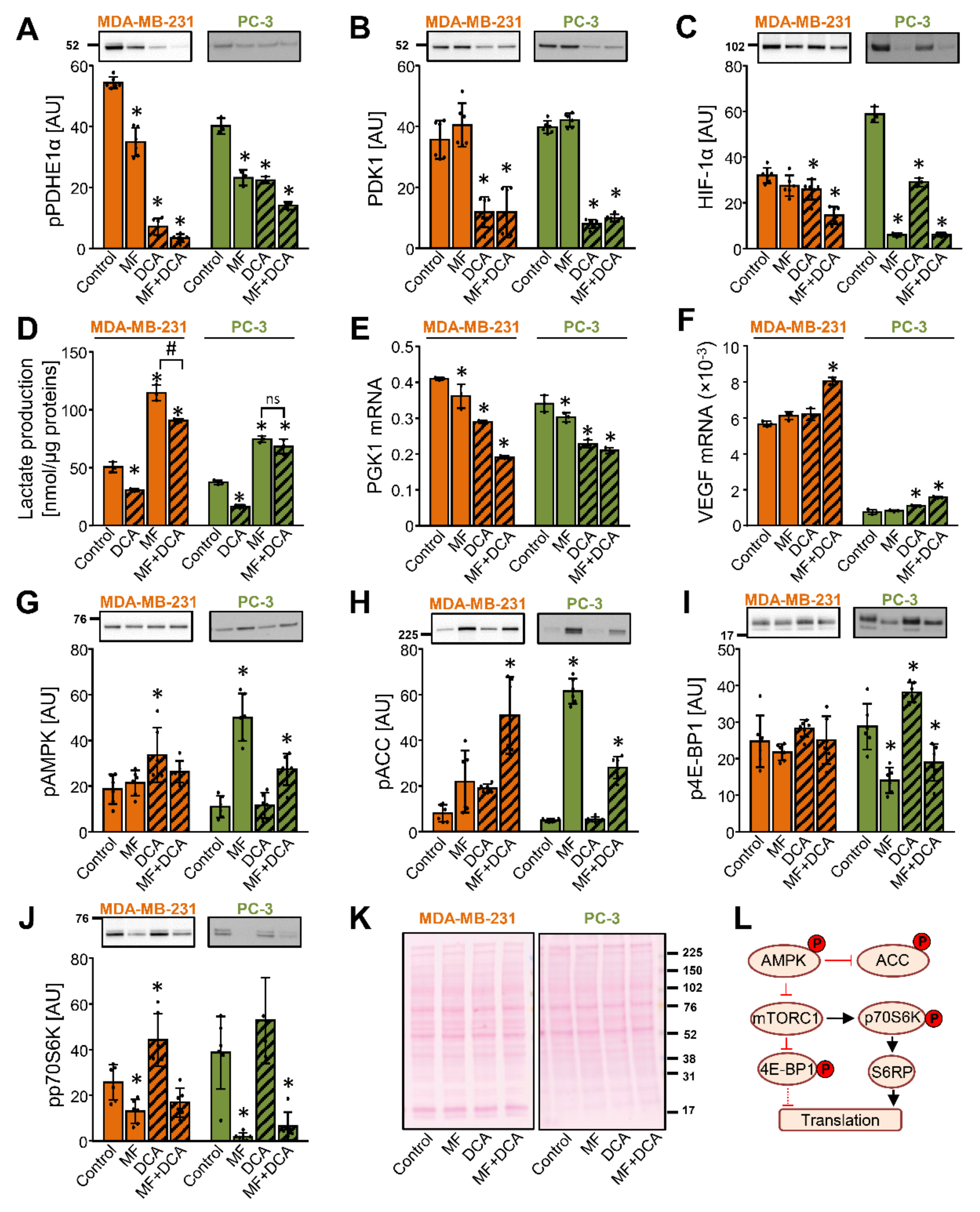 Ijms 22 08610 g005 Ijms 22 08610 g005