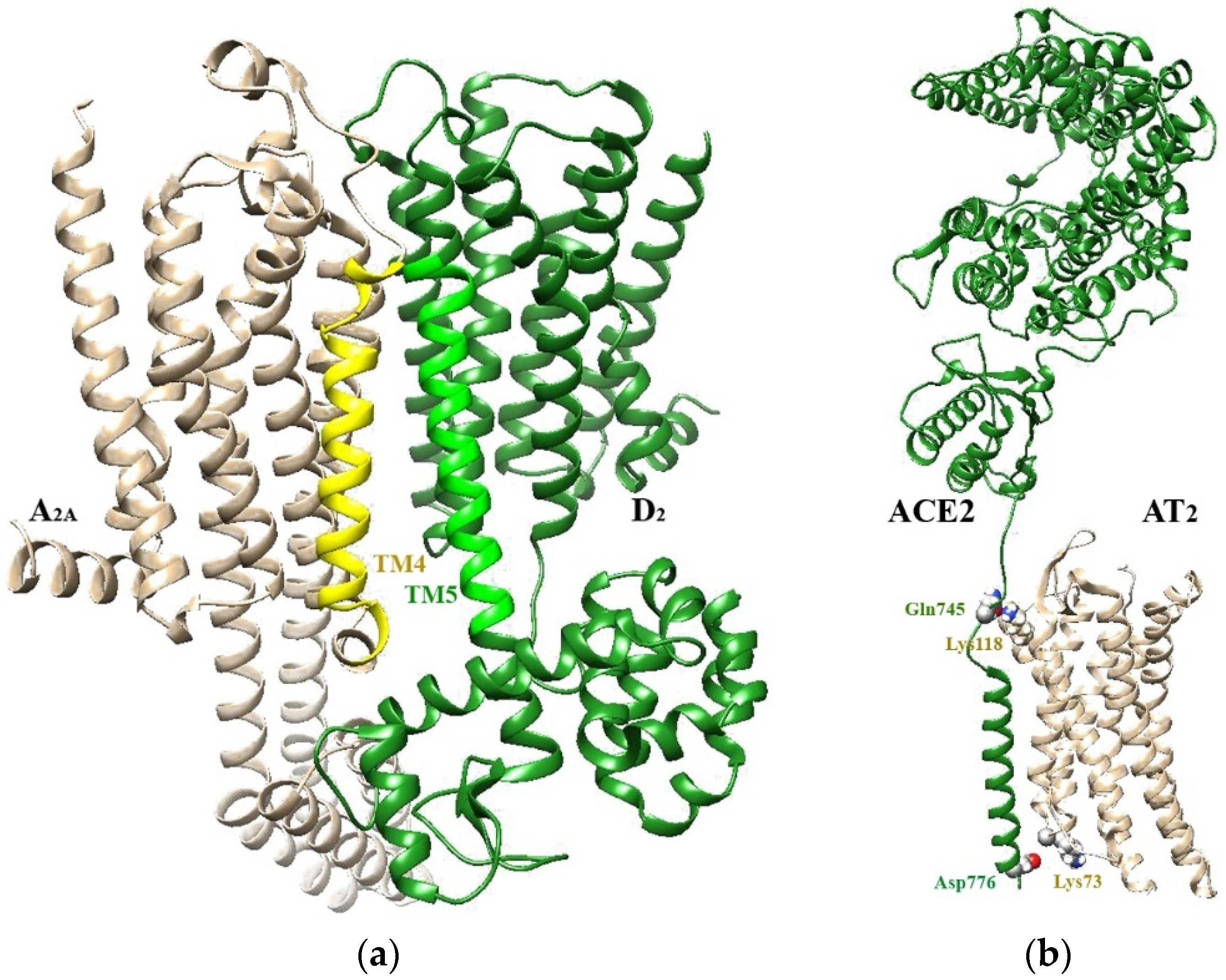 Ijms 22 08656 g001 Ijms 22 08656 g001