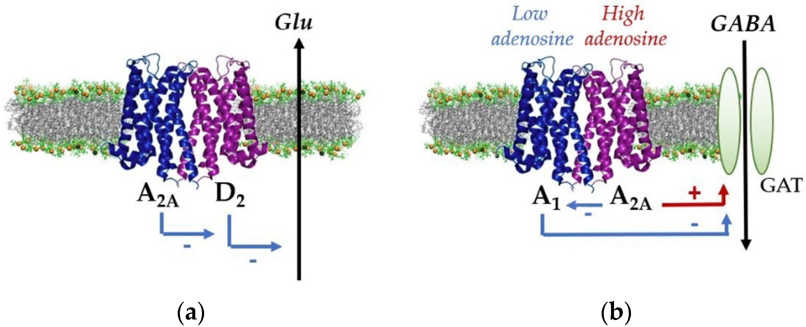 Ijms 22 08656 g002 Ijms 22 08656 g002