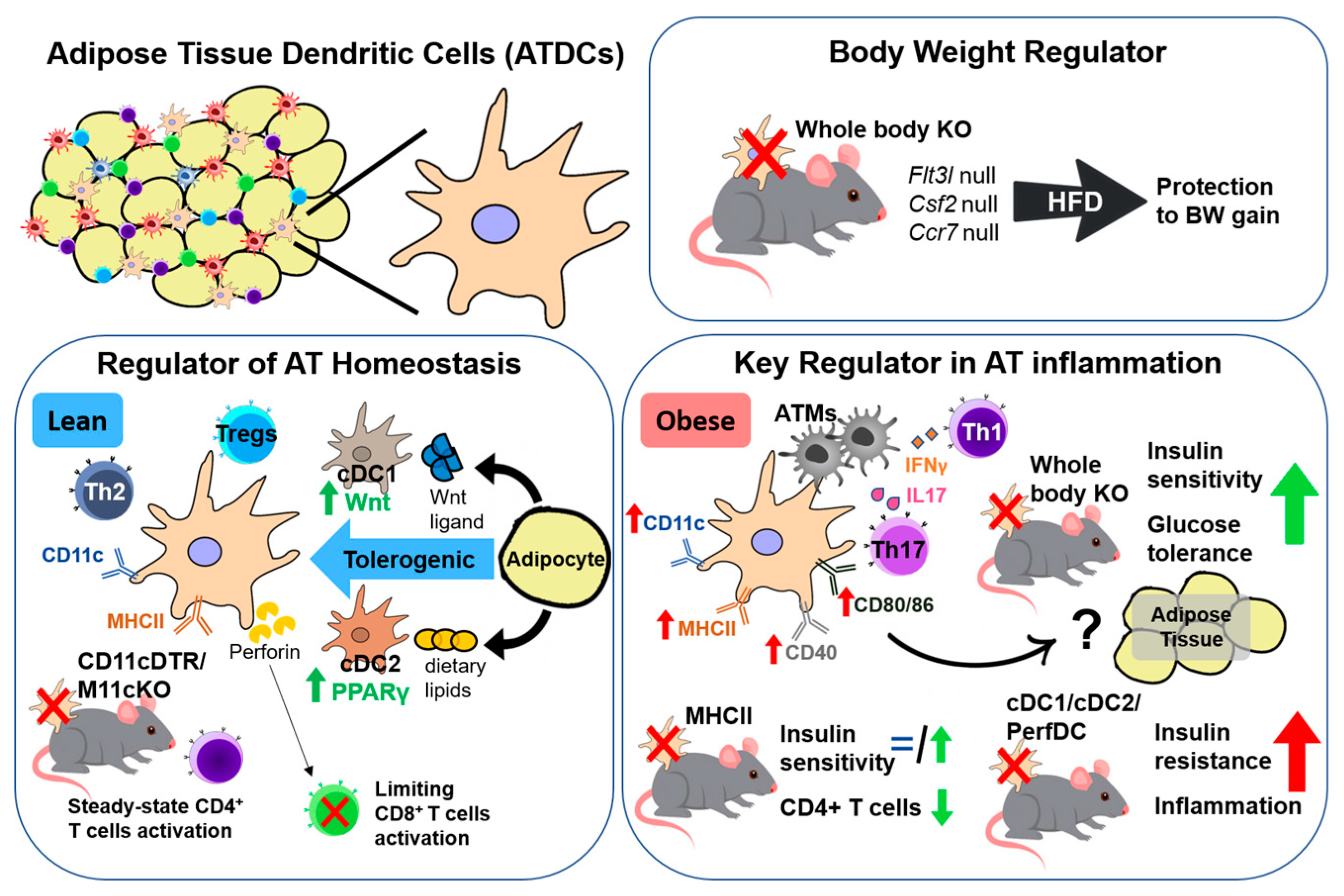 Ijms 22 08666 g001 Ijms 22 08666 g001