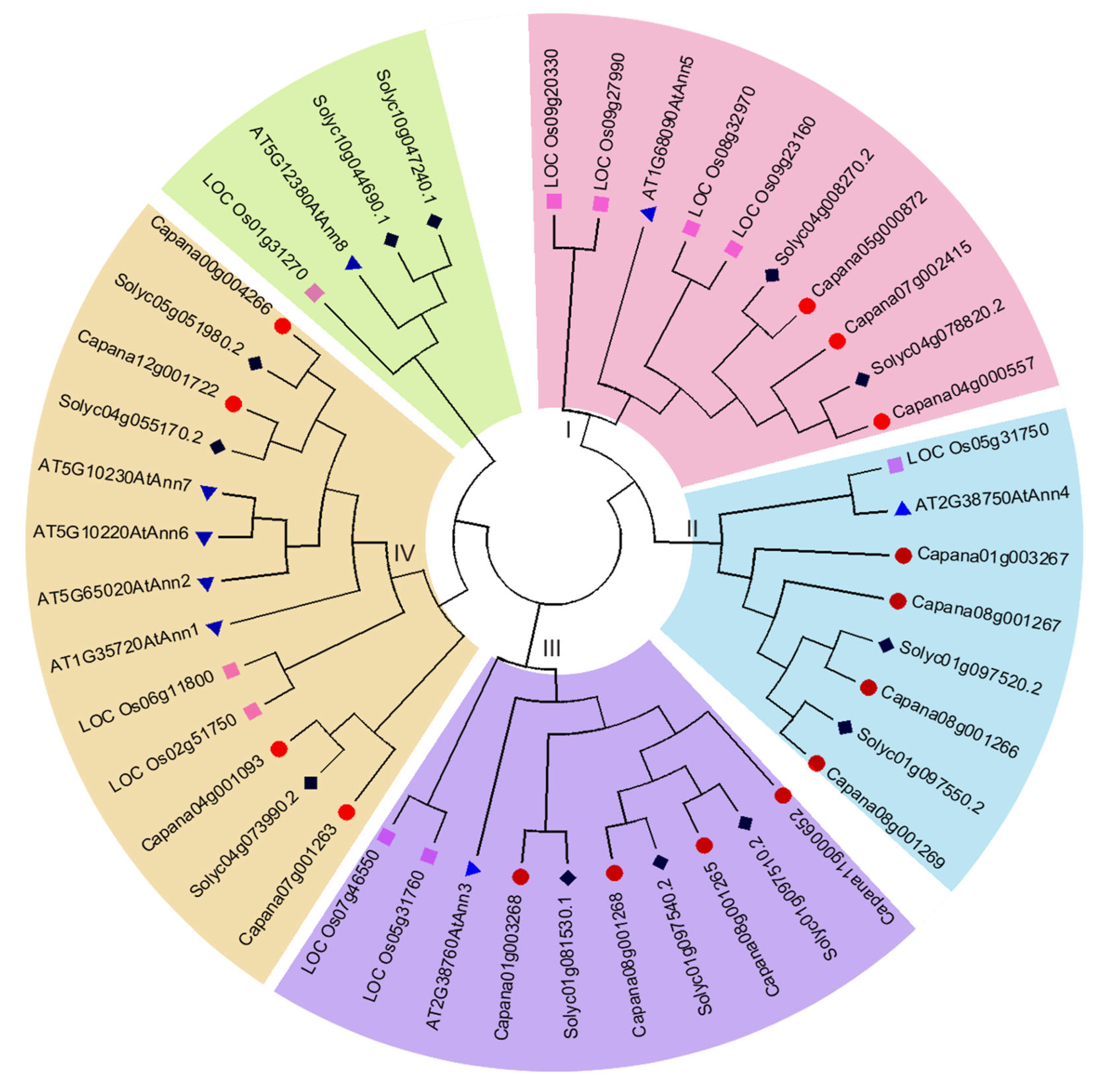 Ijms 22 08667 g002 Ijms 22 08667 g002