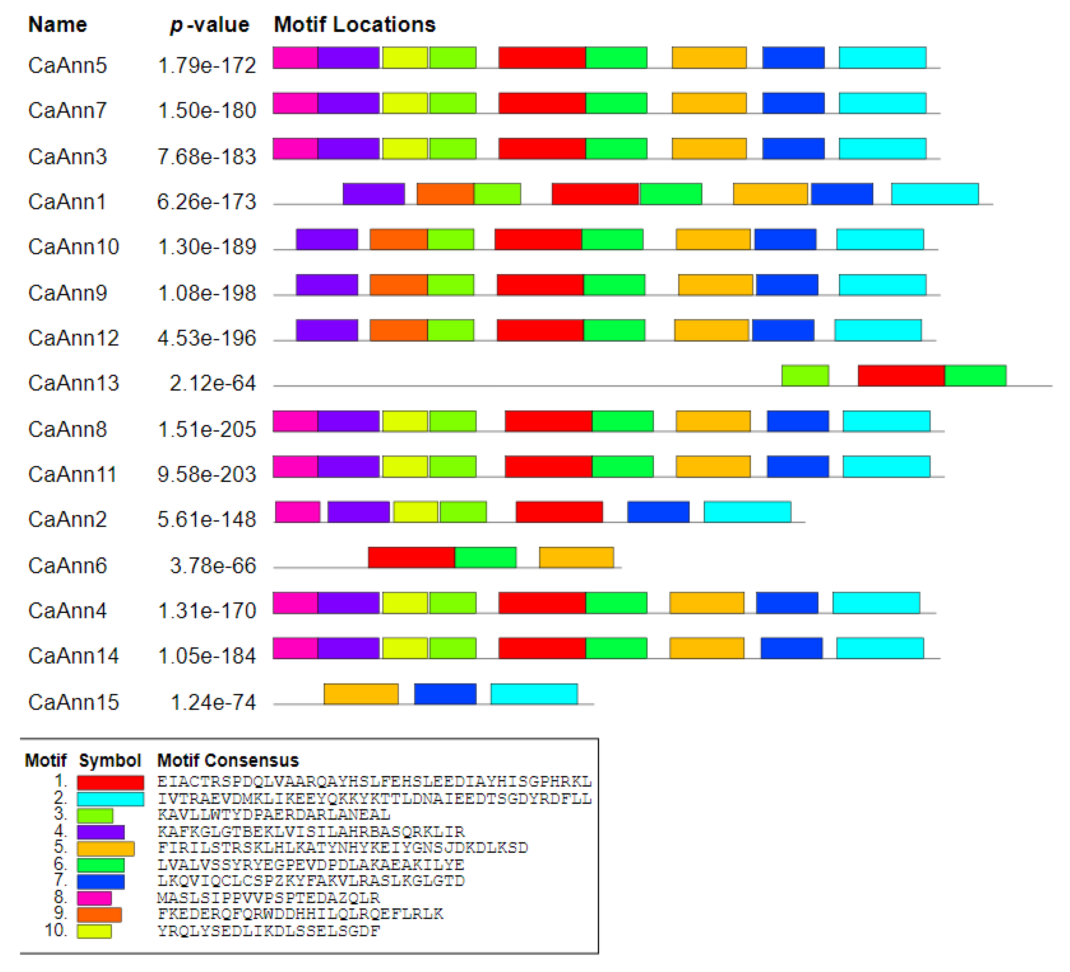 Ijms 22 08667 g003 Ijms 22 08667 g003