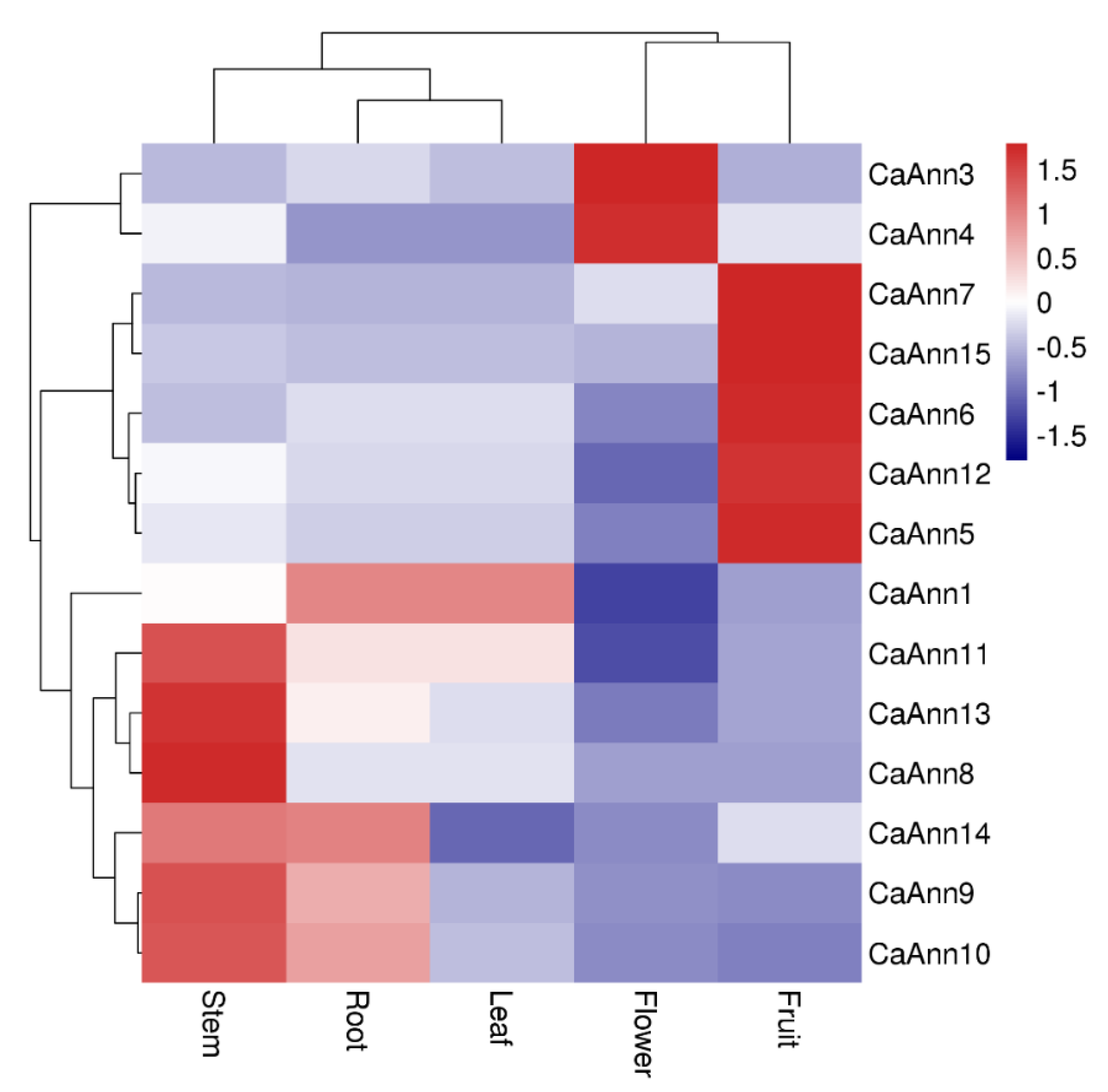 Ijms 22 08667 g005 Ijms 22 08667 g005