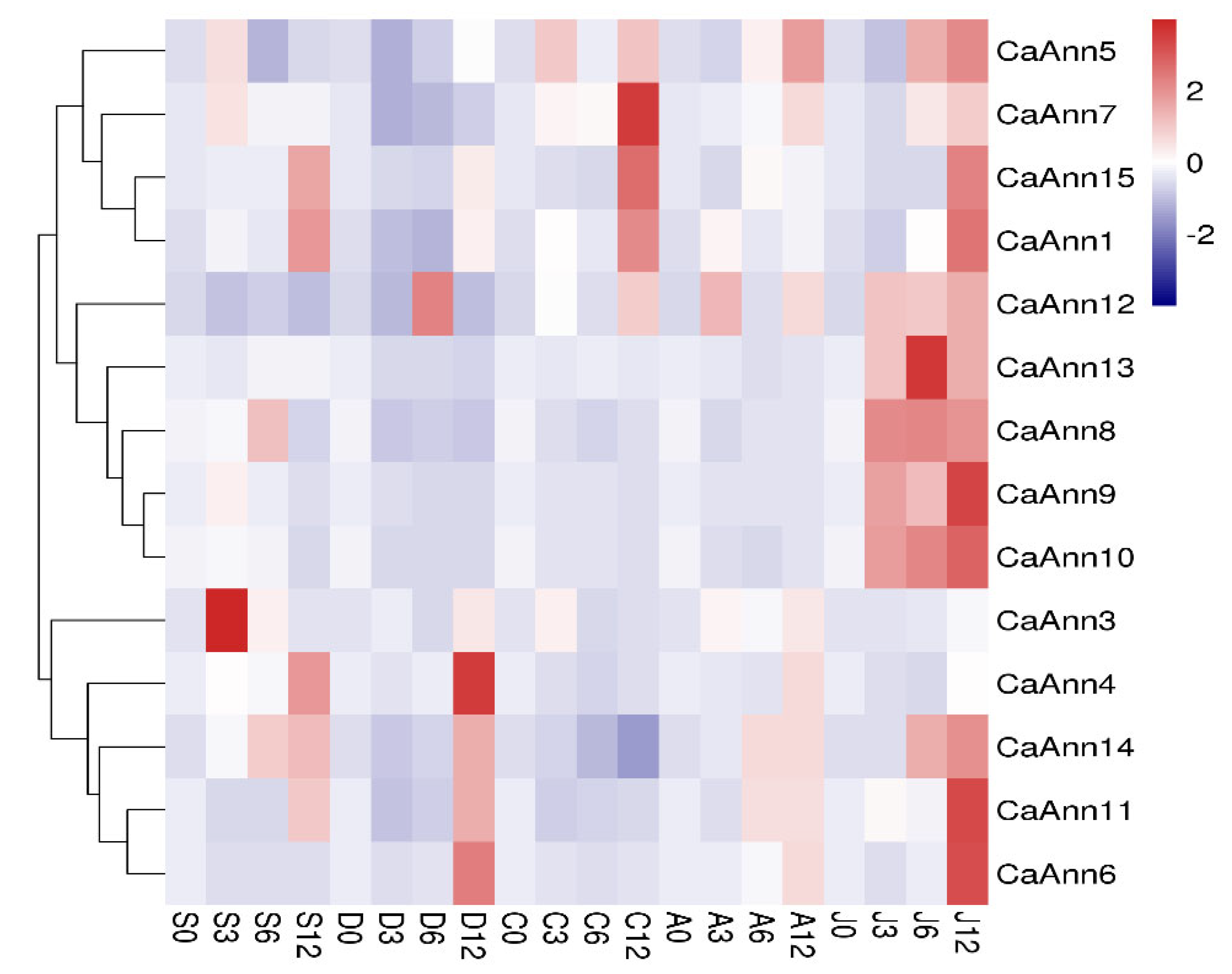 Ijms 22 08667 g006 Ijms 22 08667 g006