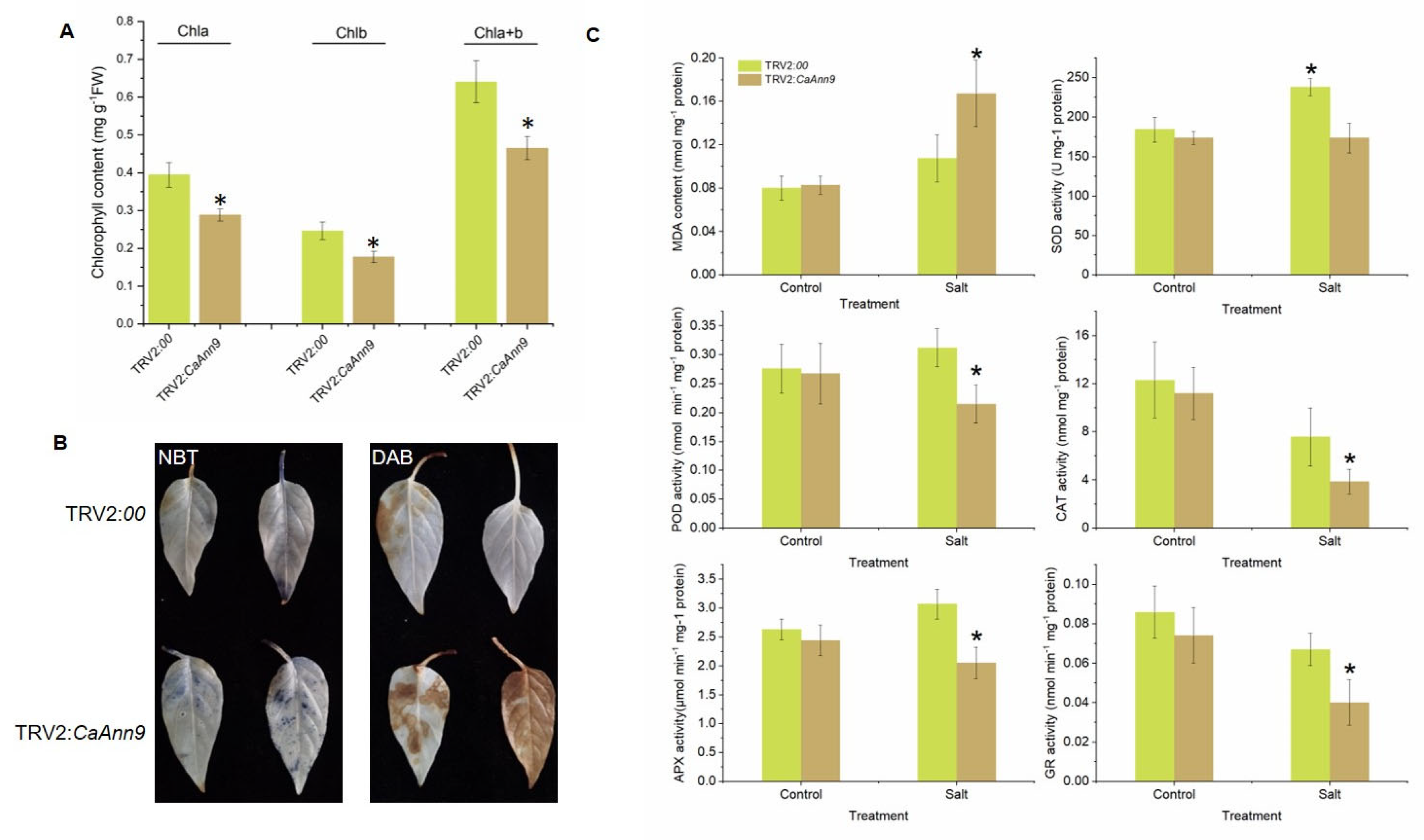 Ijms 22 08667 g008 Ijms 22 08667 g008