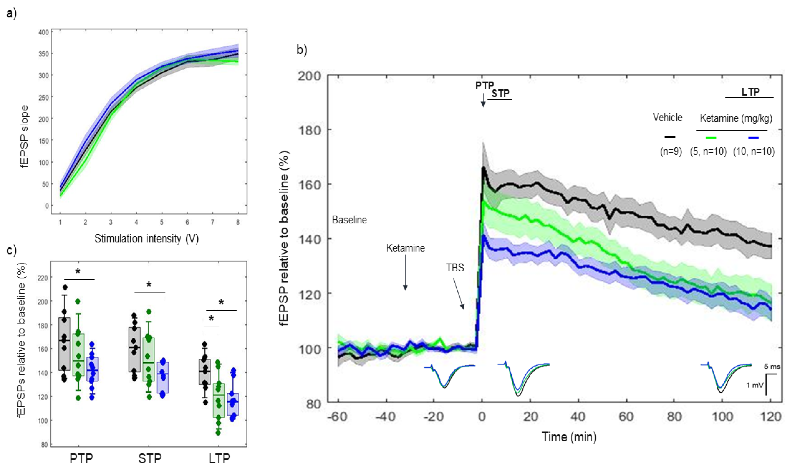 Ijms 22 08672 g002 Ijms 22 08672 g002