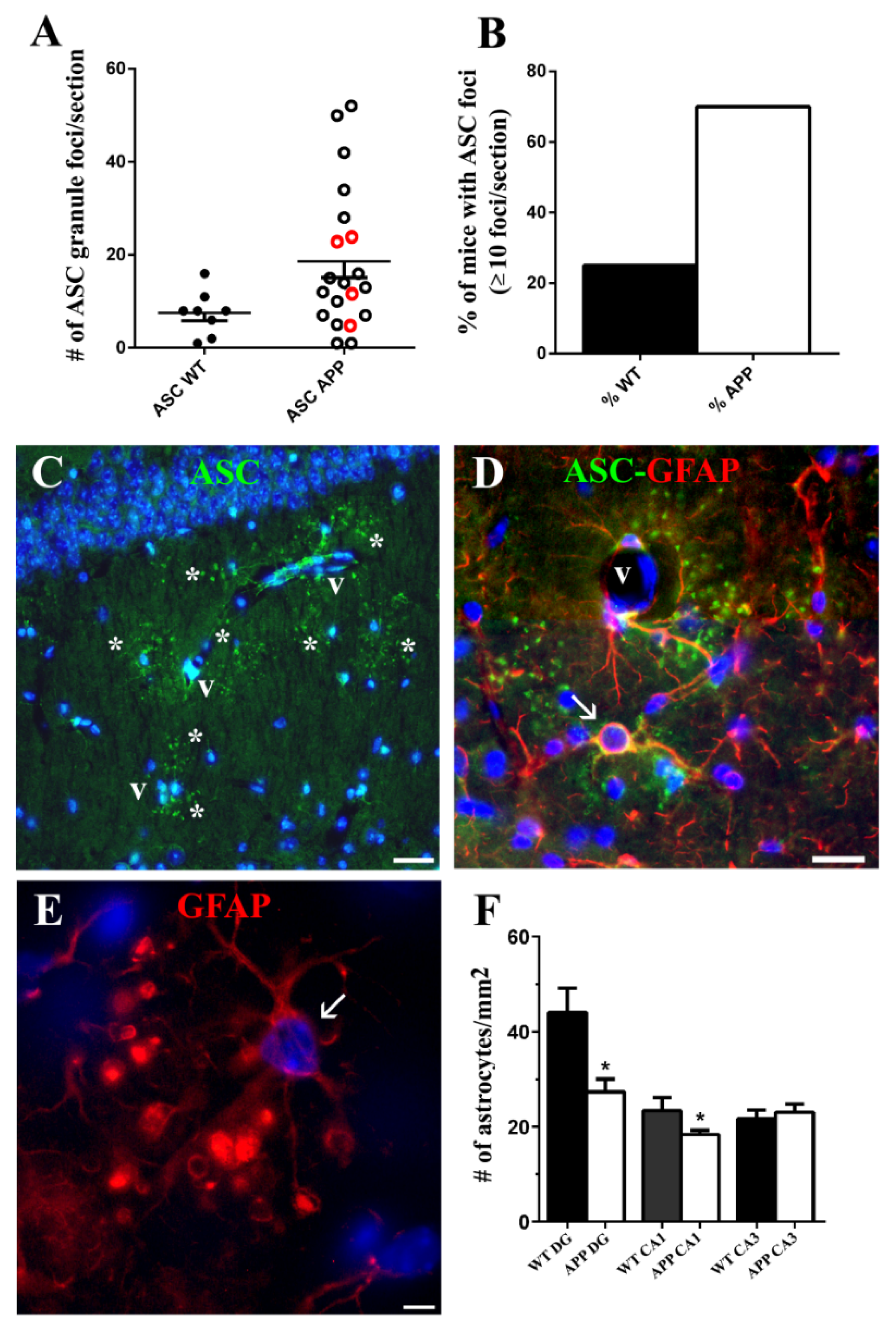 Ijms 22 08697 g005 Ijms 22 08697 g005