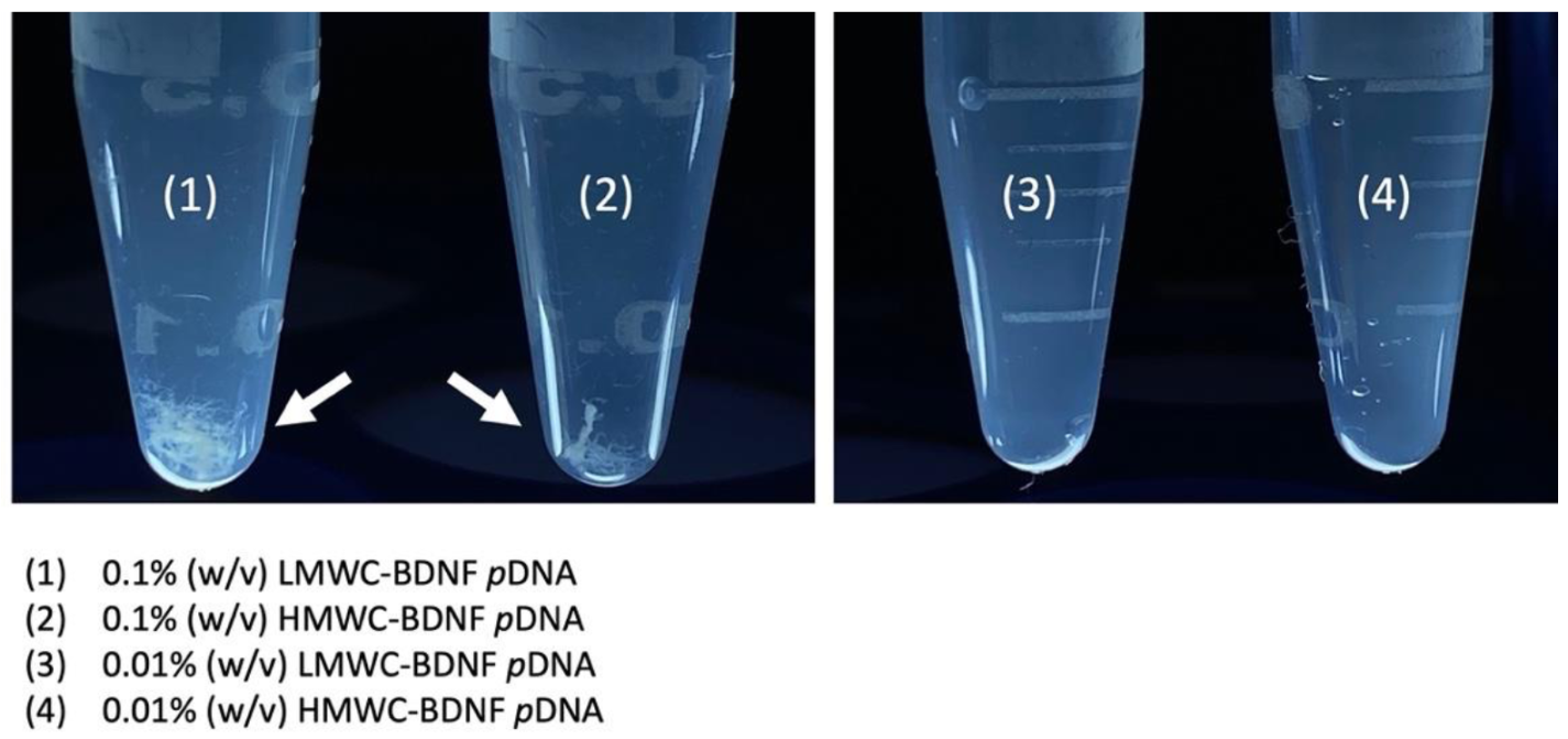 Ijms 22 08741 g001