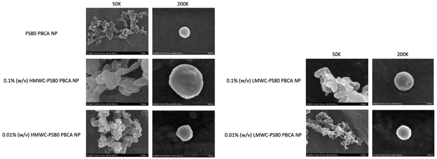 Ijms 22 08741 g003