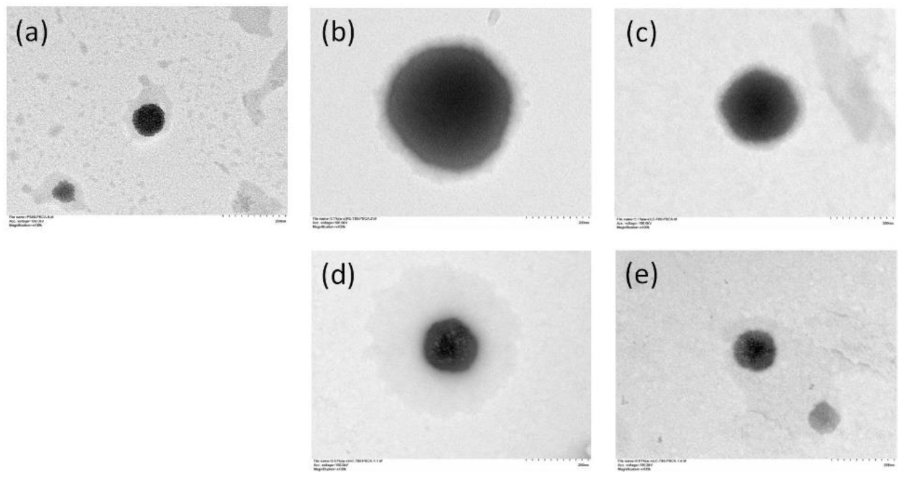 Ijms 22 08741 g004