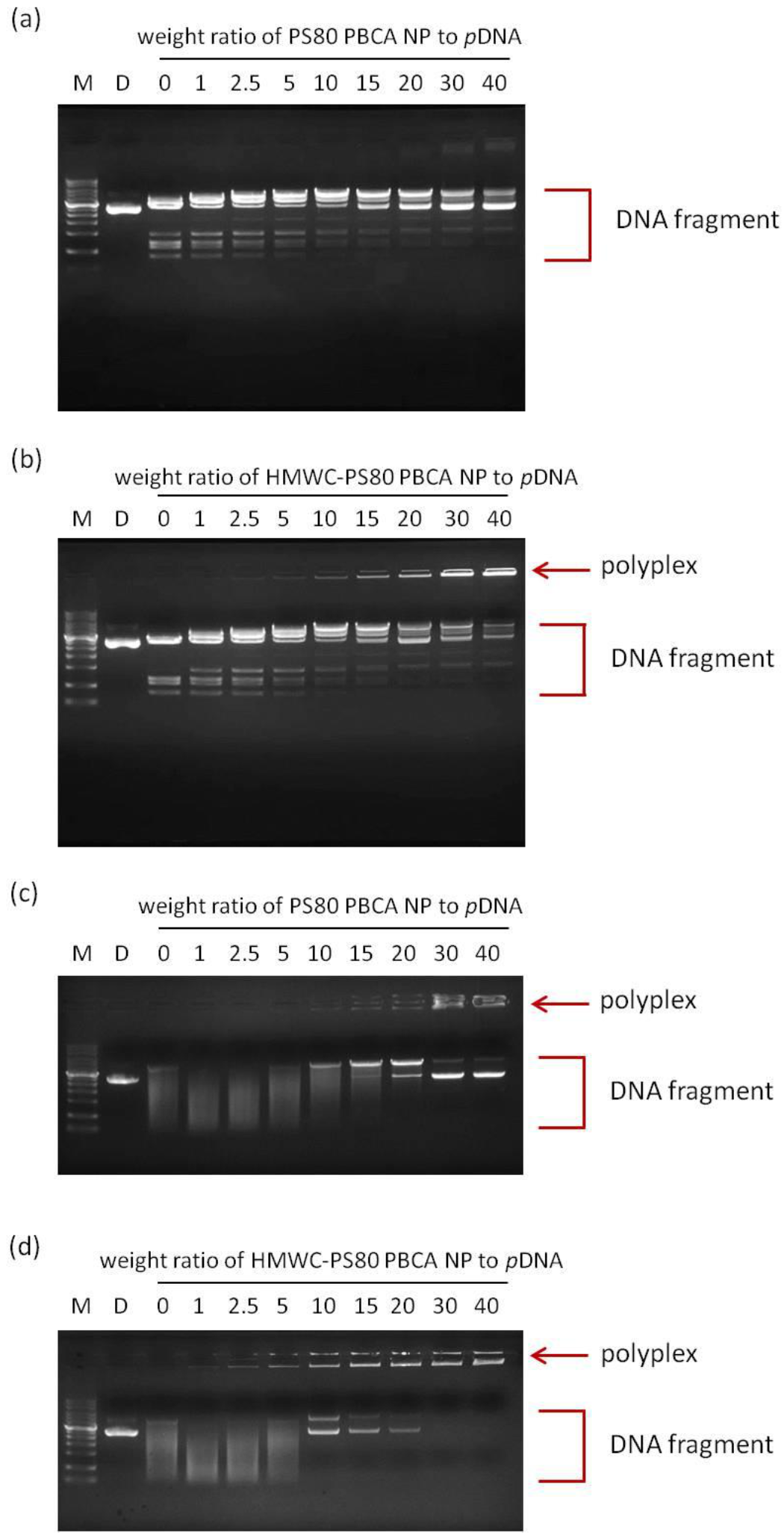 Ijms 22 08741 g007