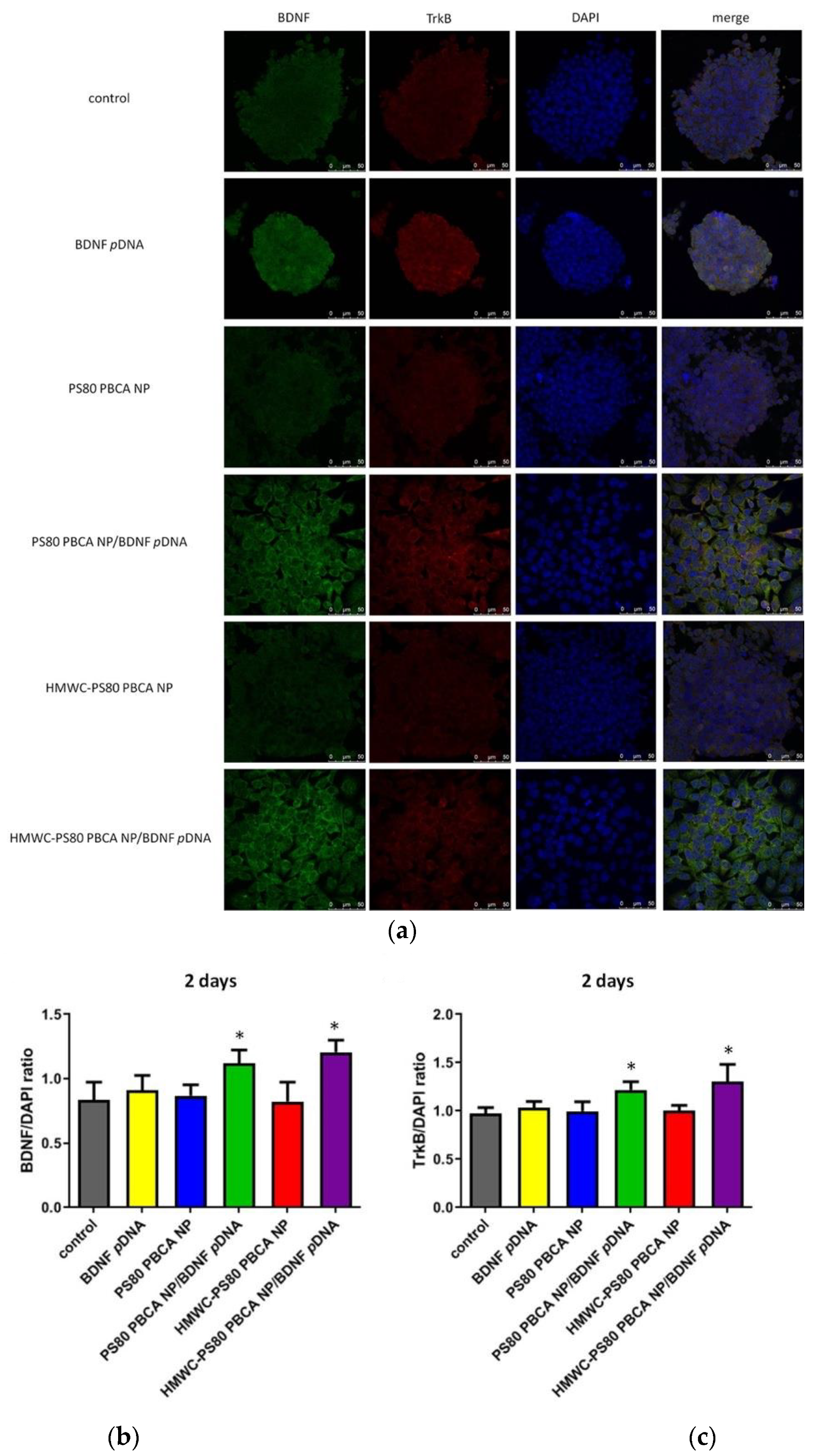 Ijms 22 08741 g010a