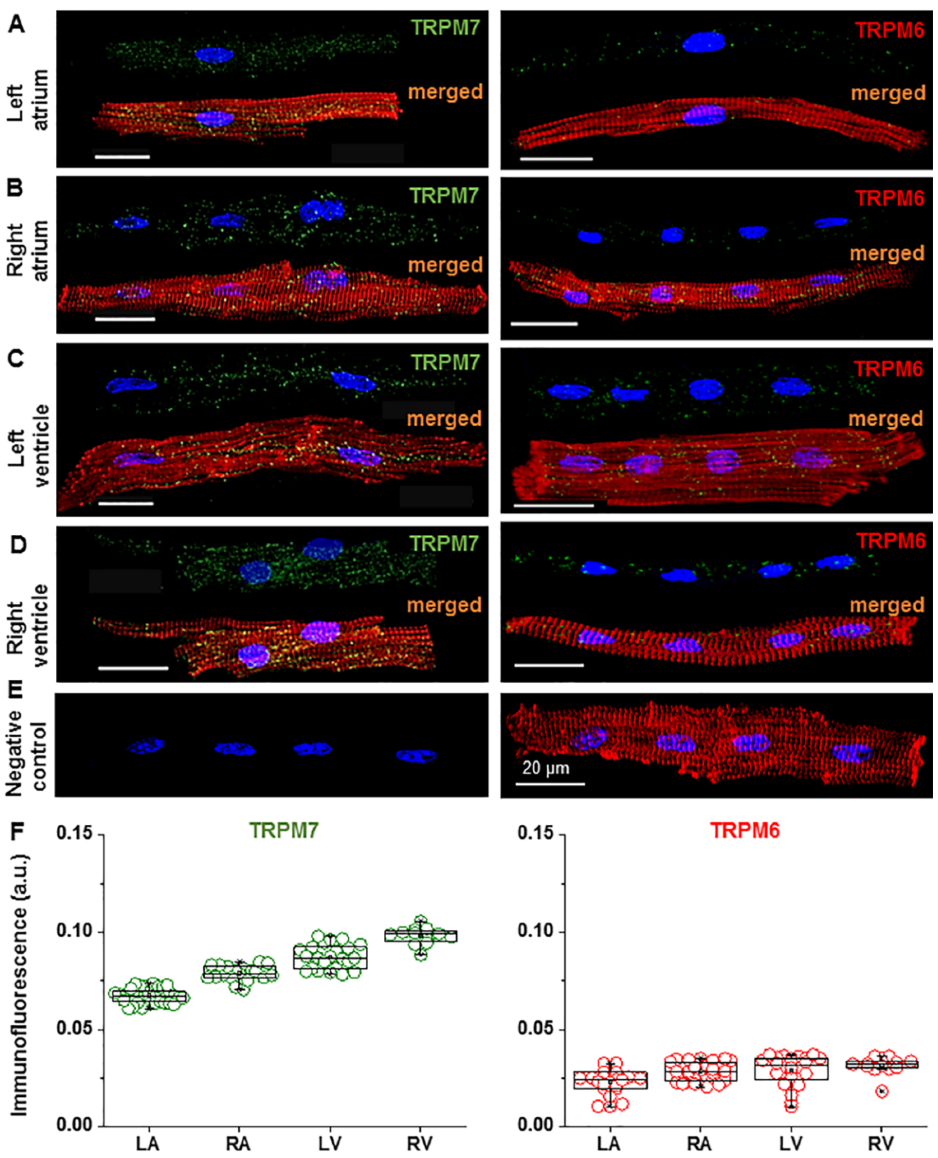 Ijms 22 08744 g001 Ijms 22 08744 g001