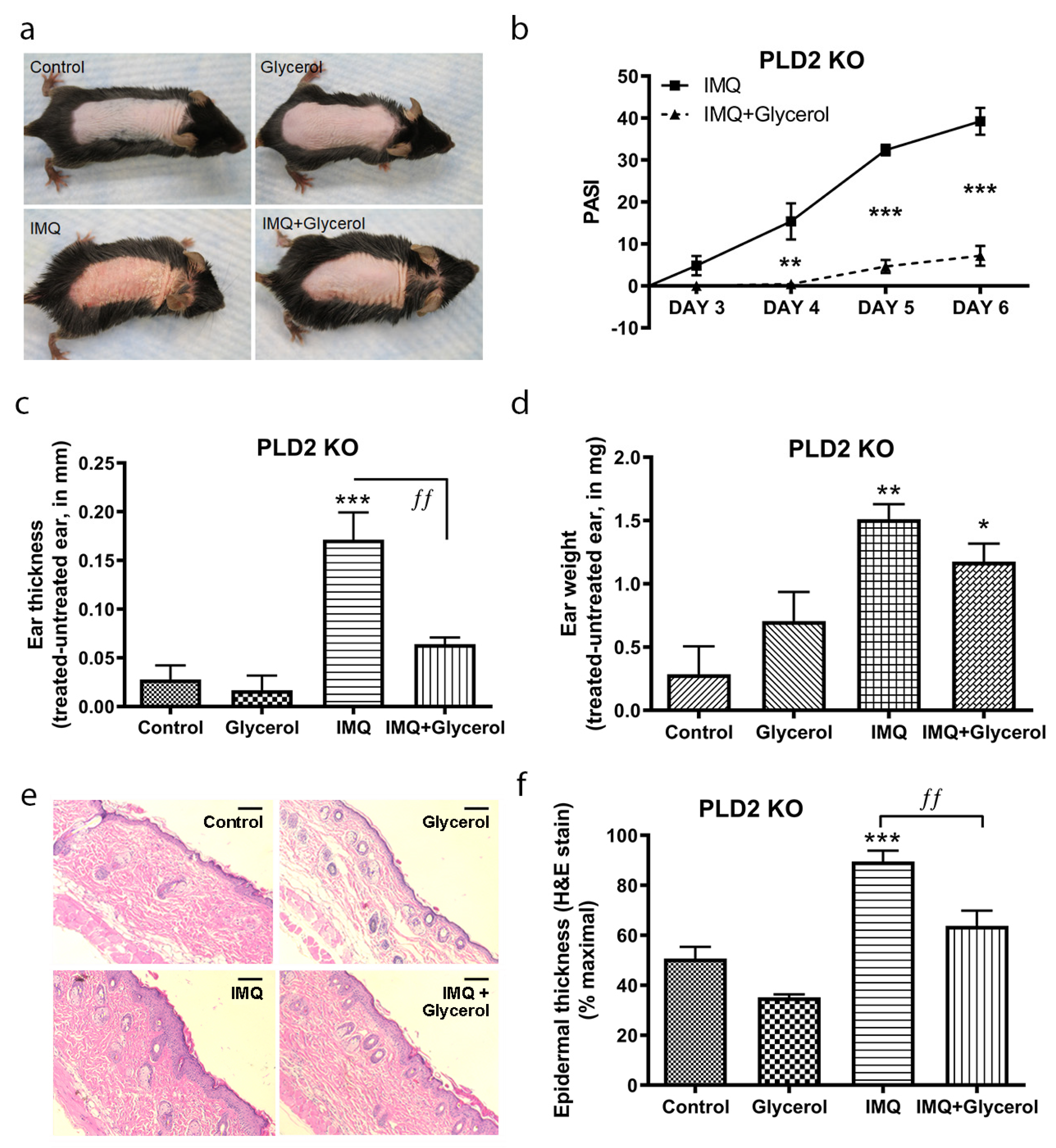 Ijms 22 08749 g002 Ijms 22 08749 g002