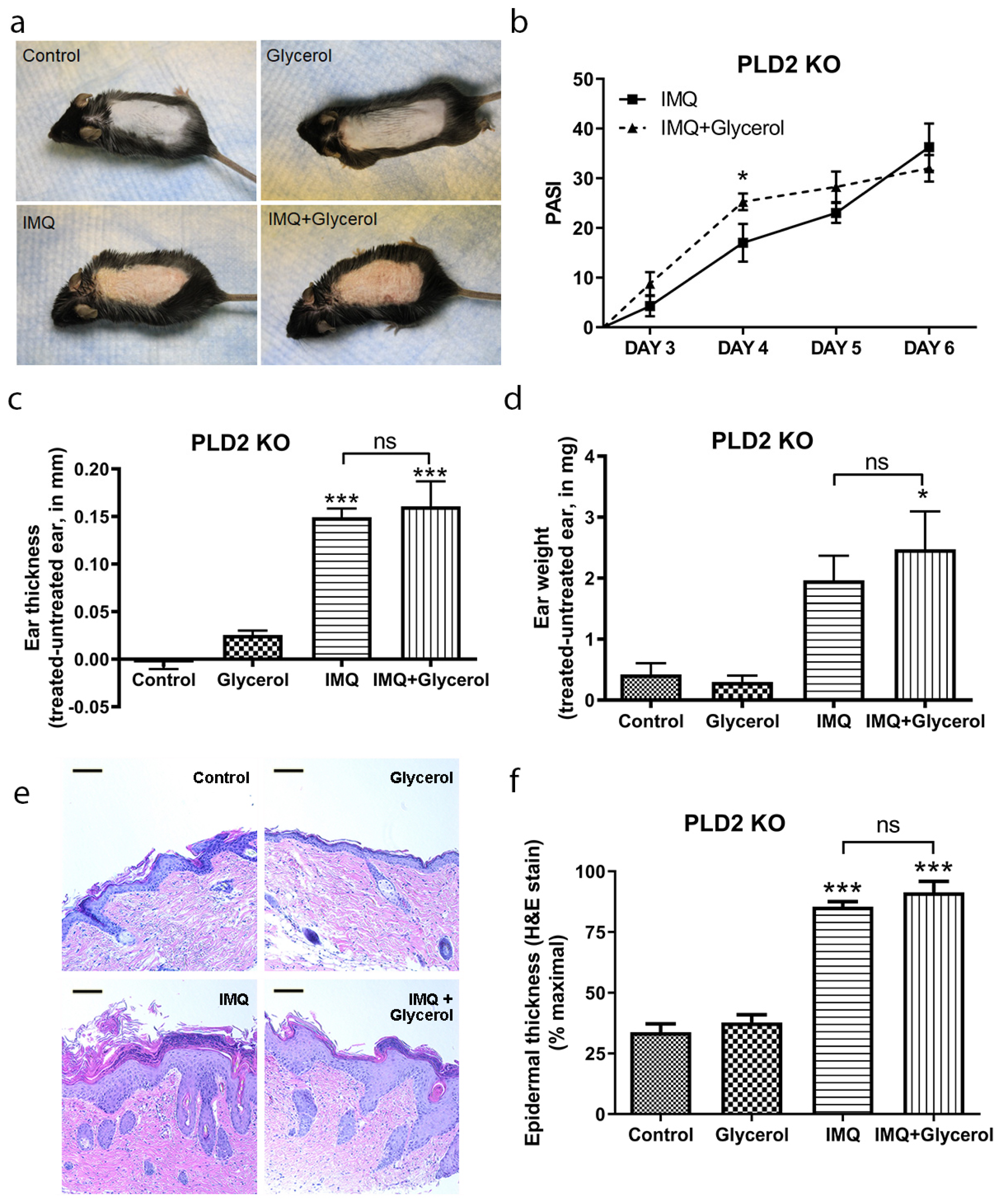 Ijms 22 08749 g004 Ijms 22 08749 g004