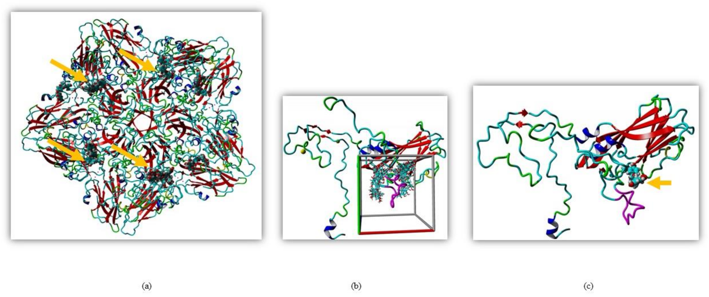 Ijms 22 08757 g001 Ijms 22 08757 g001