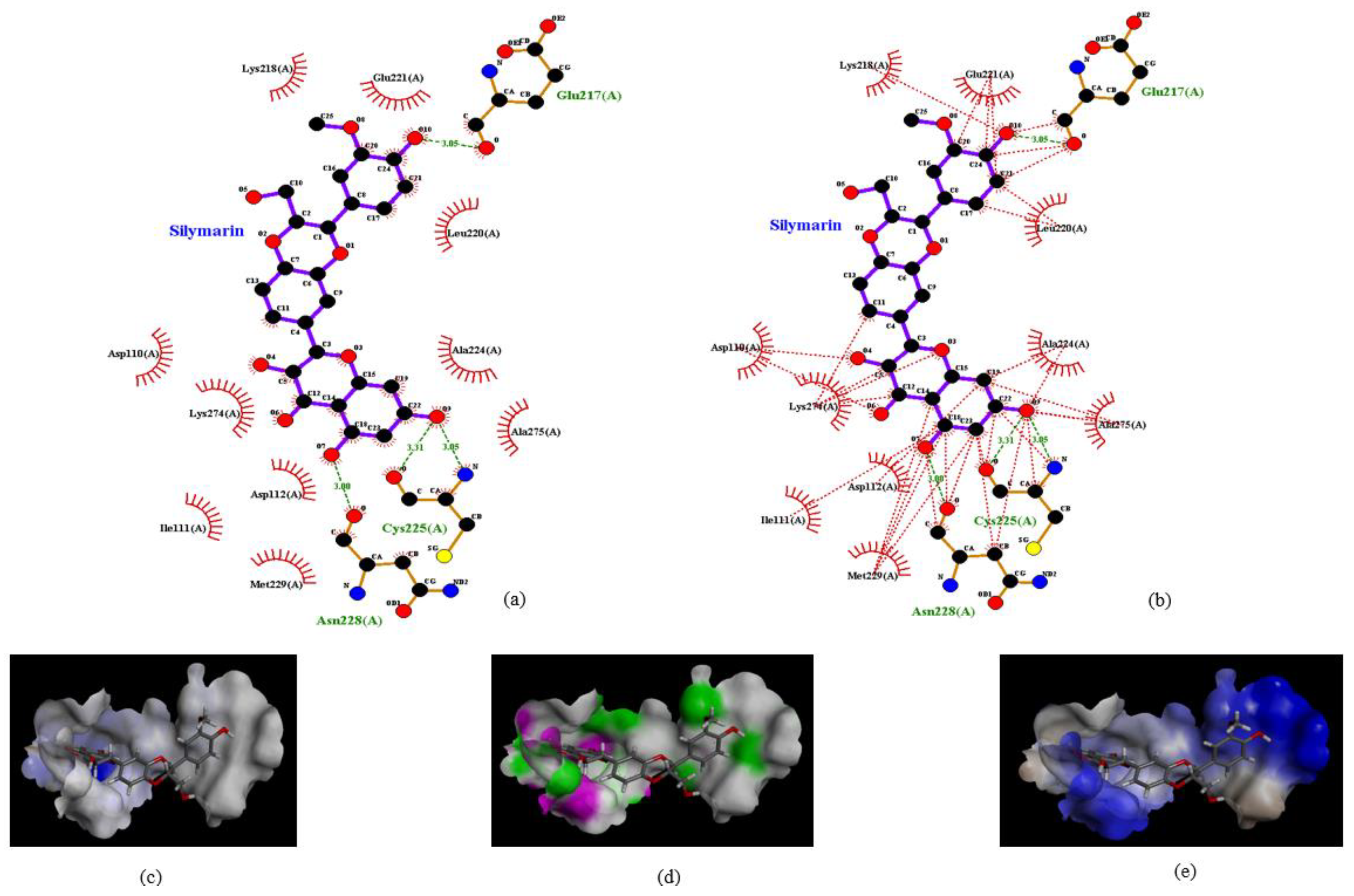 Ijms 22 08757 g002 Ijms 22 08757 g002