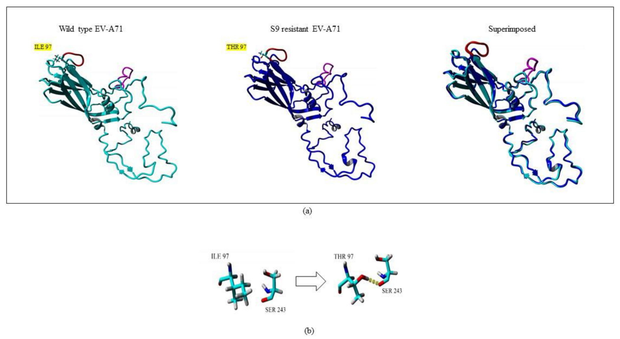 Ijms 22 08757 g007 Ijms 22 08757 g007