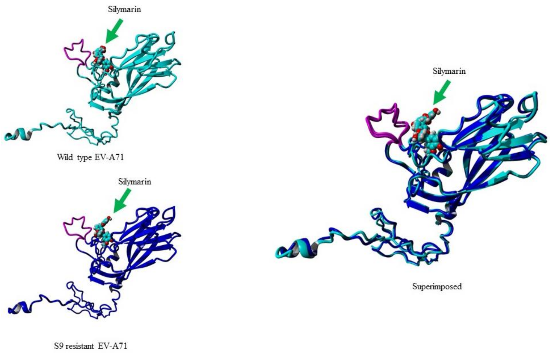 Ijms 22 08757 g008 Ijms 22 08757 g008