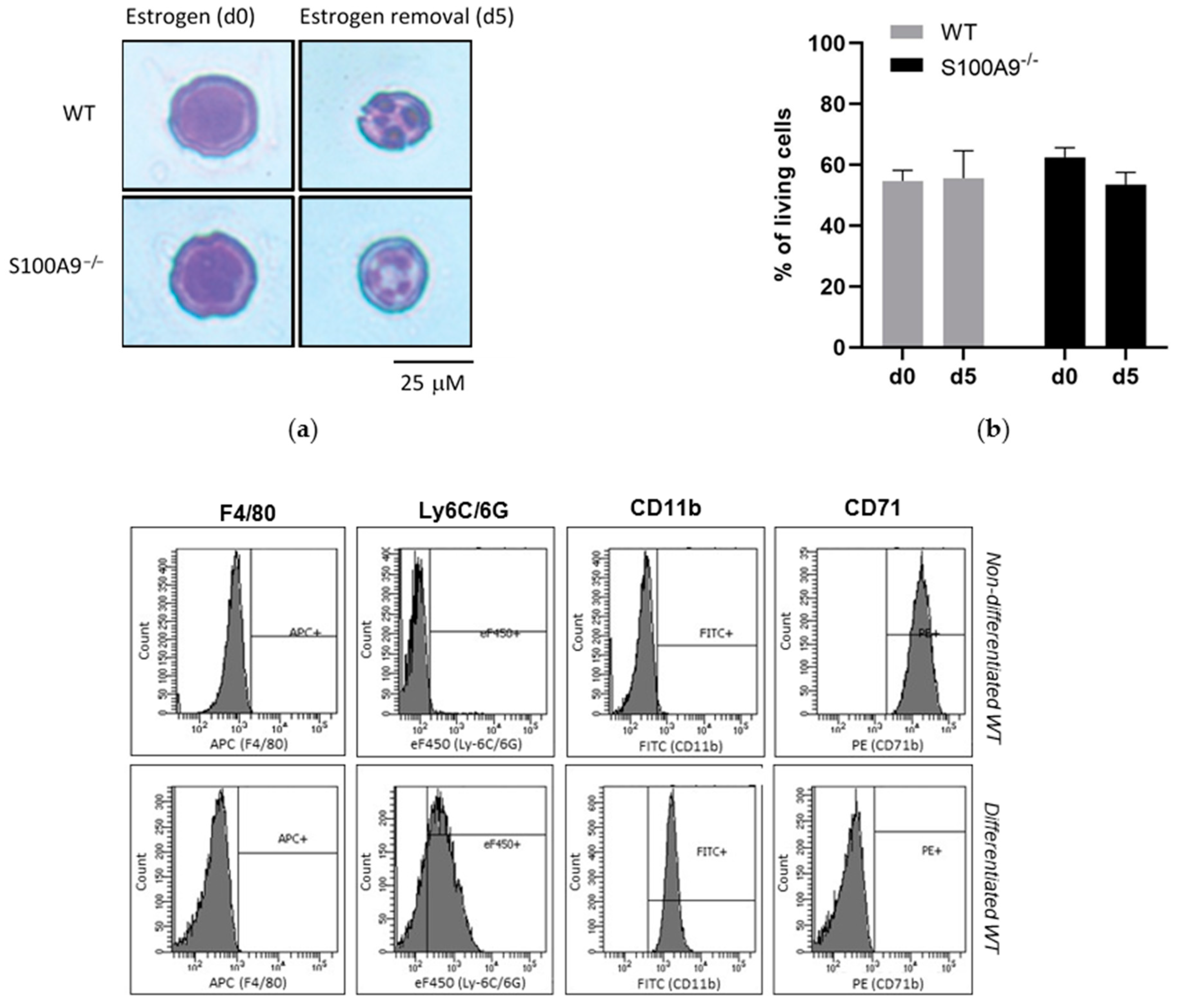 Ijms 22 08845 g001a Ijms 22 08845 g001a