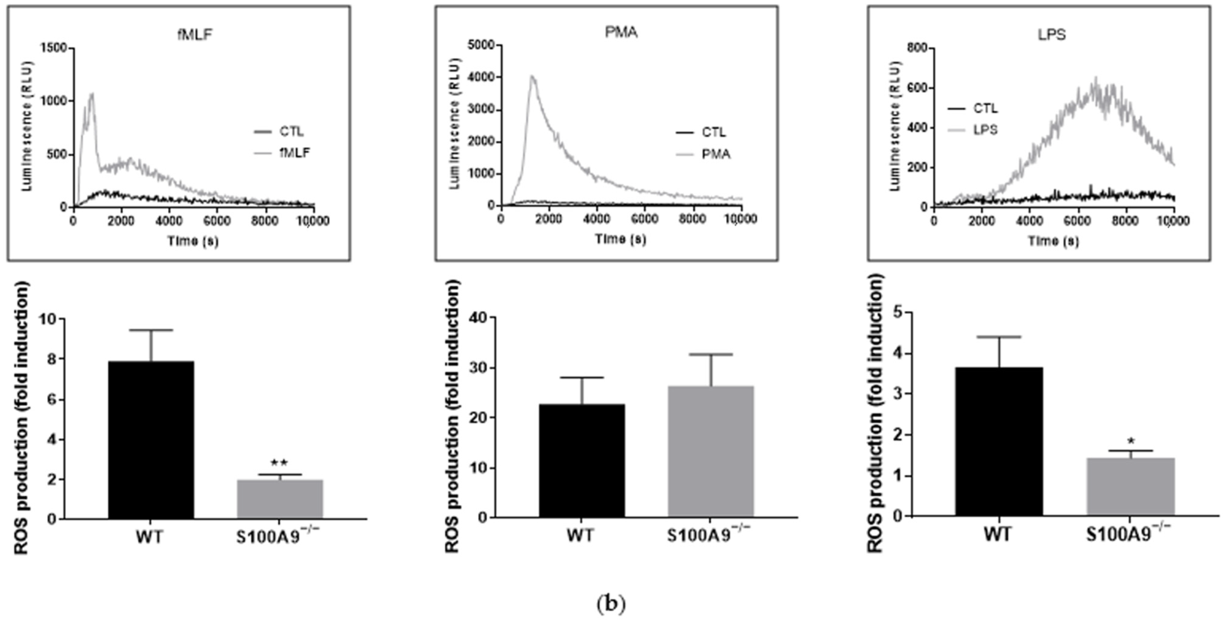 Ijms 22 08845 g002b Ijms 22 08845 g002b