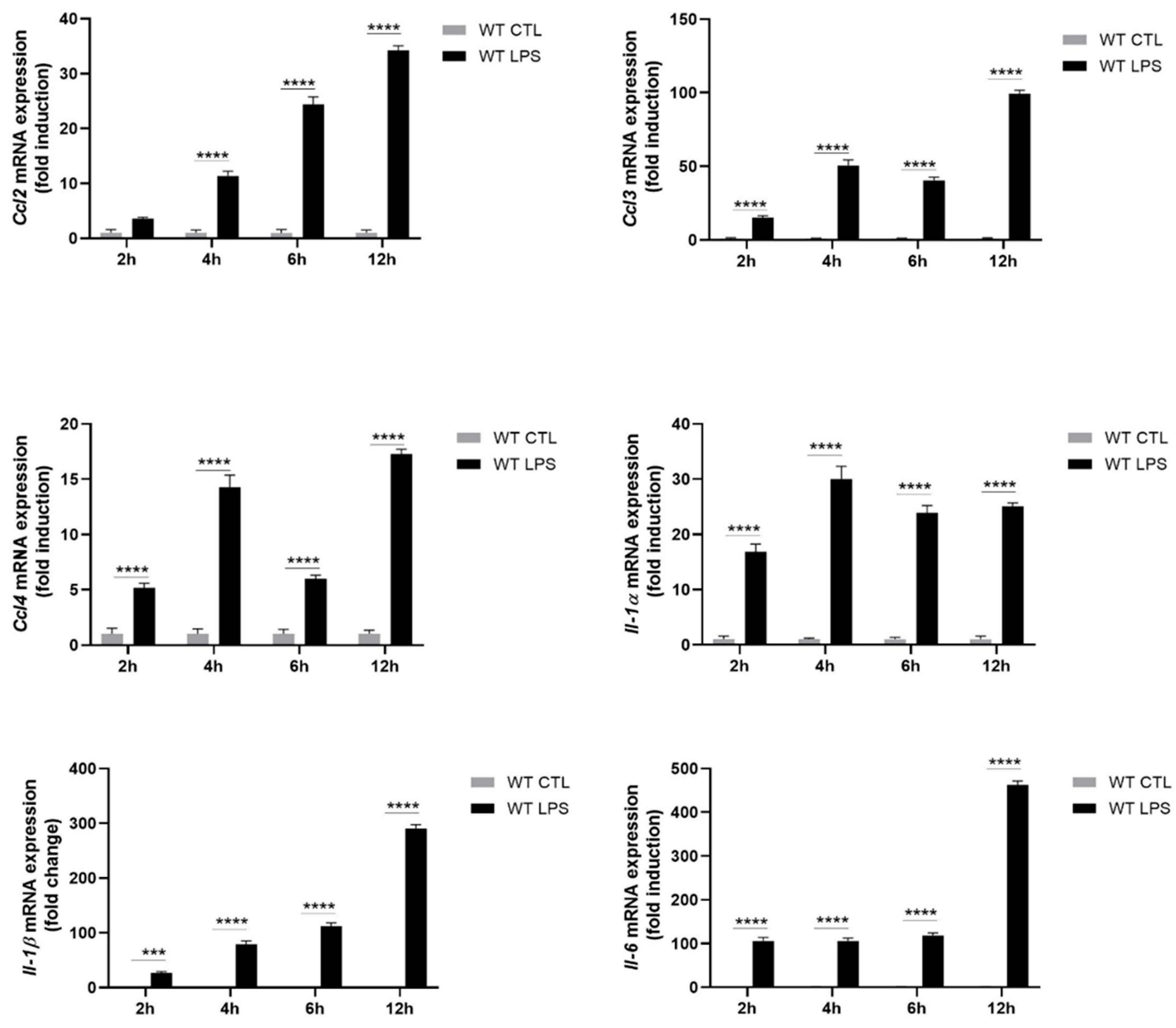 Ijms 22 08845 g003a Ijms 22 08845 g003a