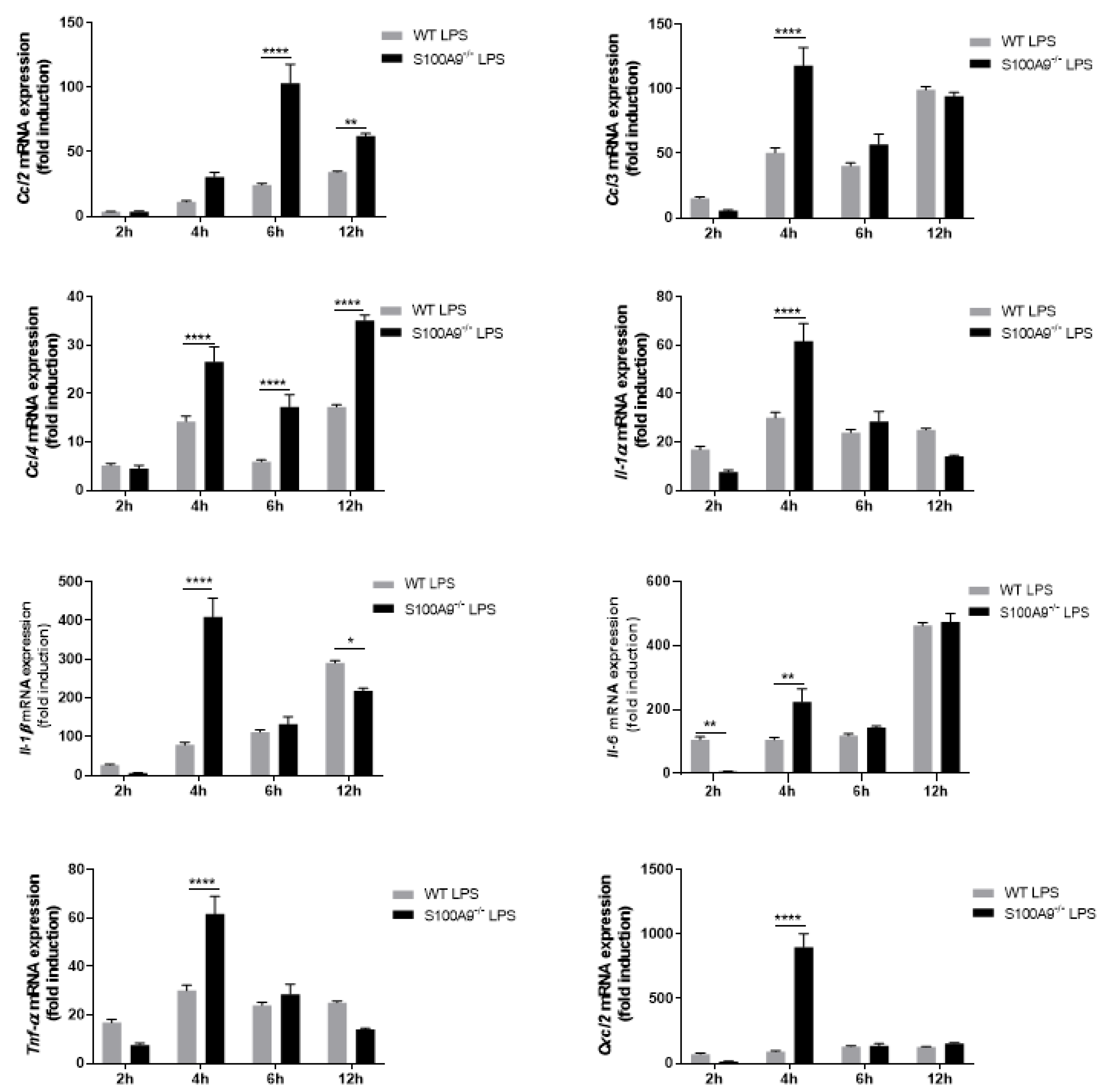 Ijms 22 08845 g005 Ijms 22 08845 g005