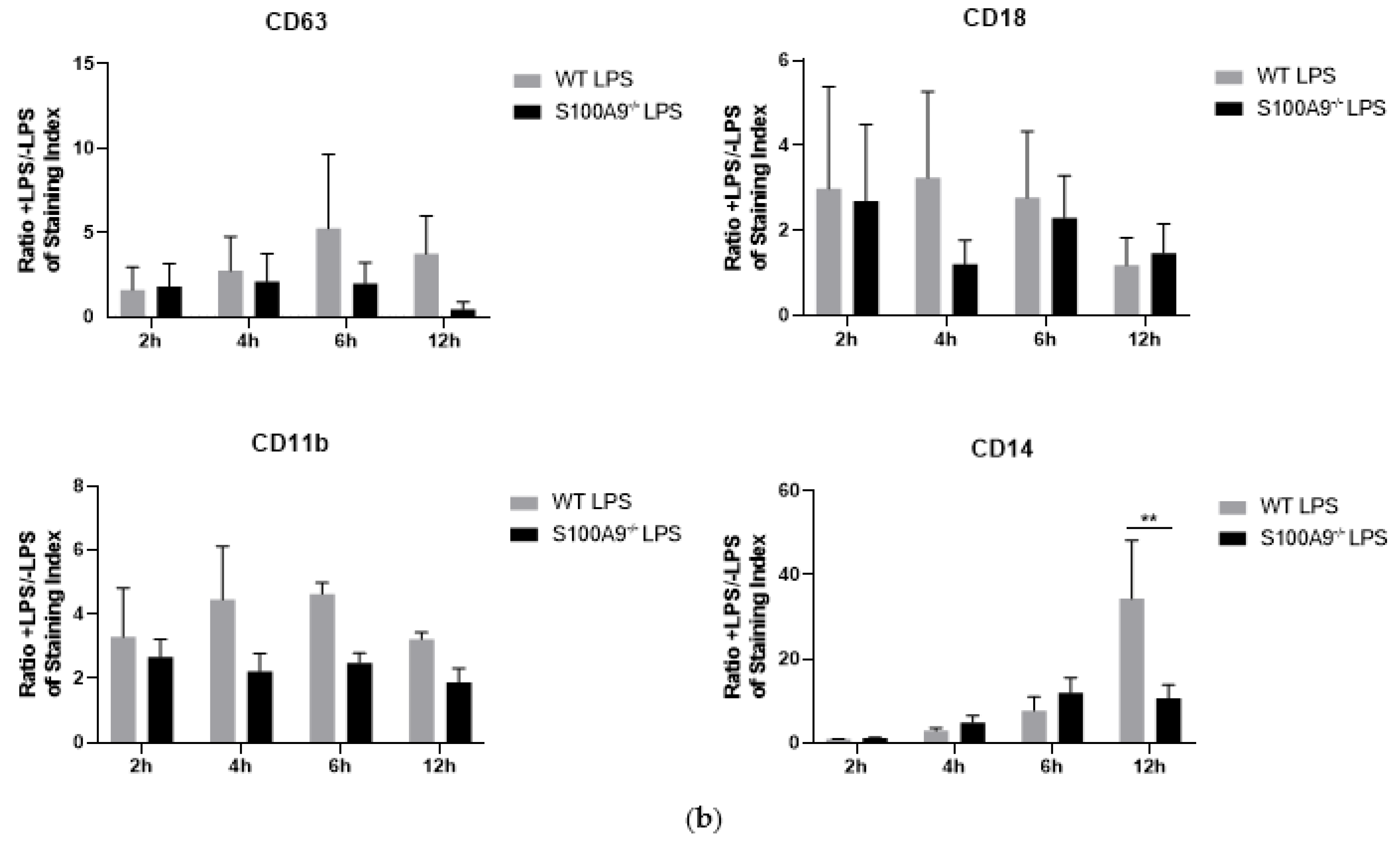 Ijms 22 08845 g007b Ijms 22 08845 g007b