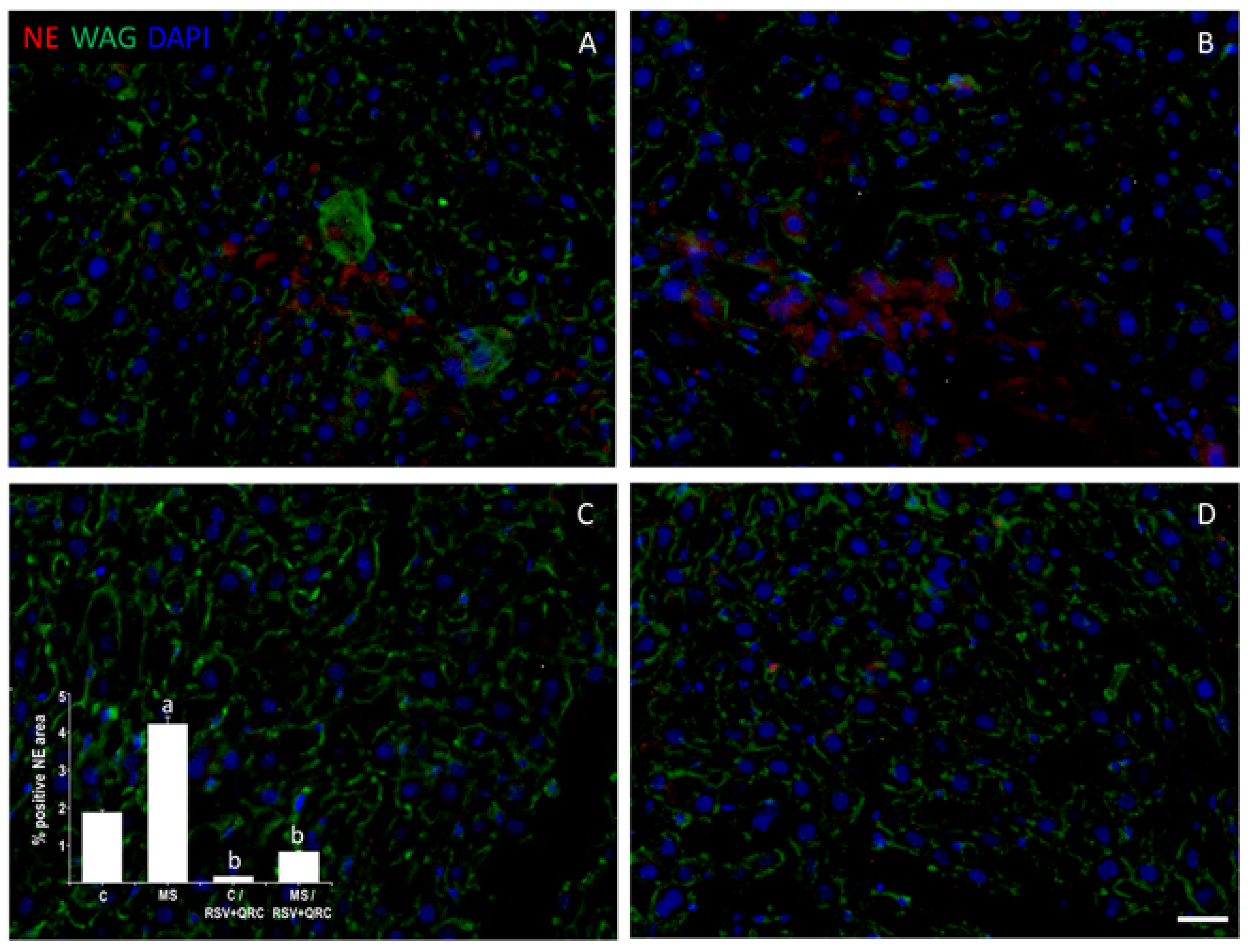 Ijms 22 08939 g002 Ijms 22 08939 g002