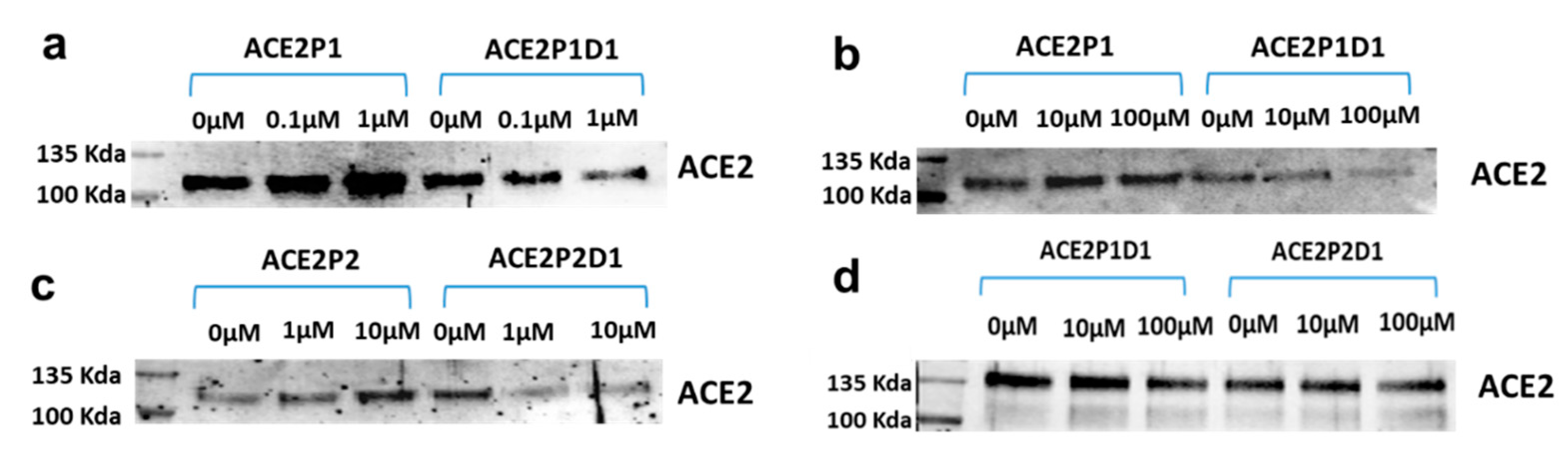 Ijms 22 08963 g002