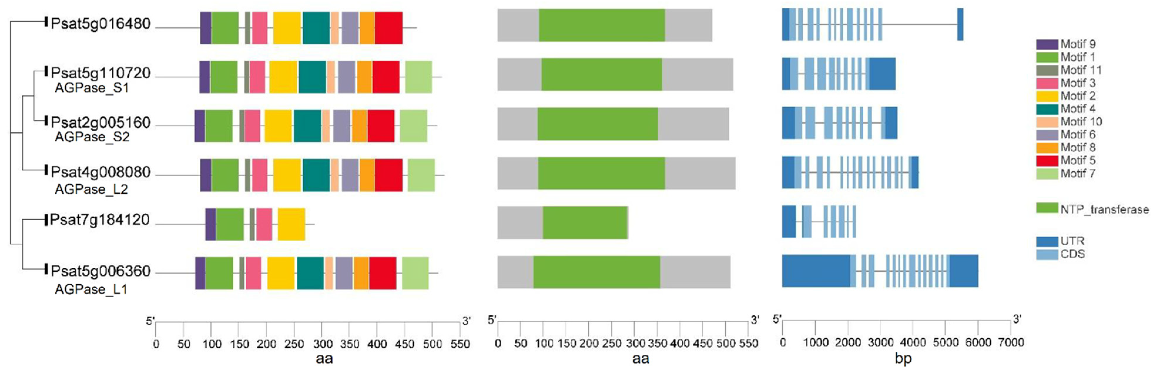 Ijms 22 08972 g002 Ijms 22 08972 g002