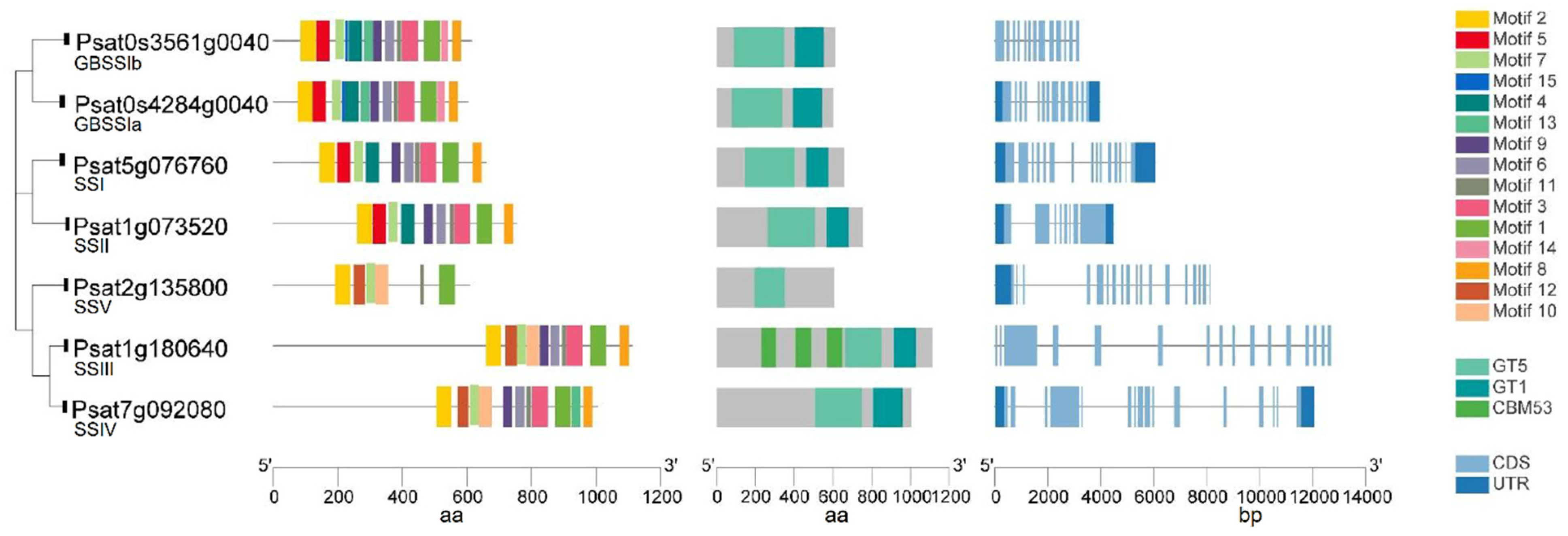 Ijms 22 08972 g003 Ijms 22 08972 g003