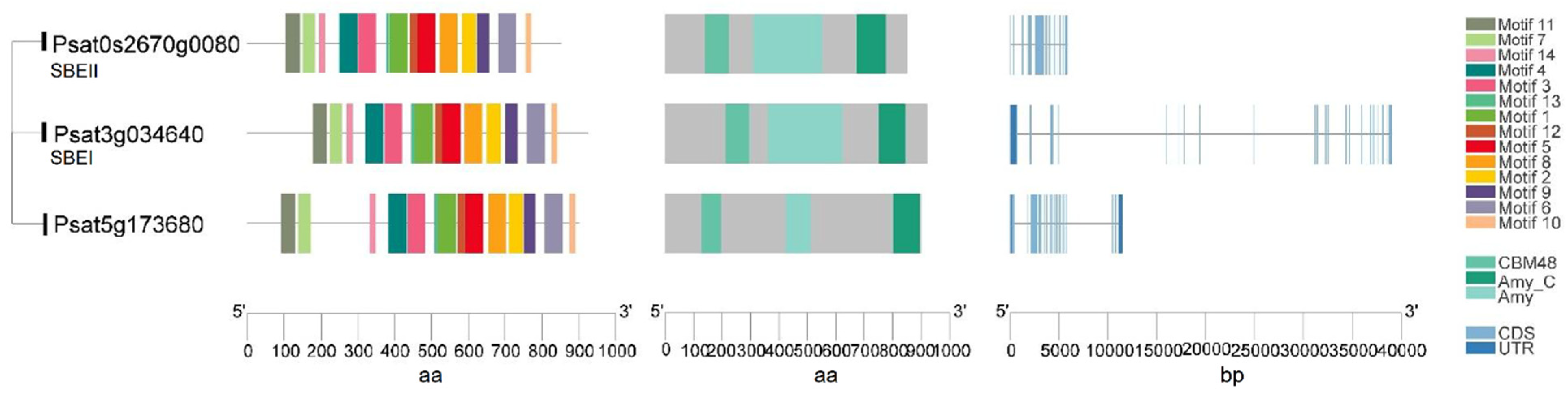 Ijms 22 08972 g004 Ijms 22 08972 g004