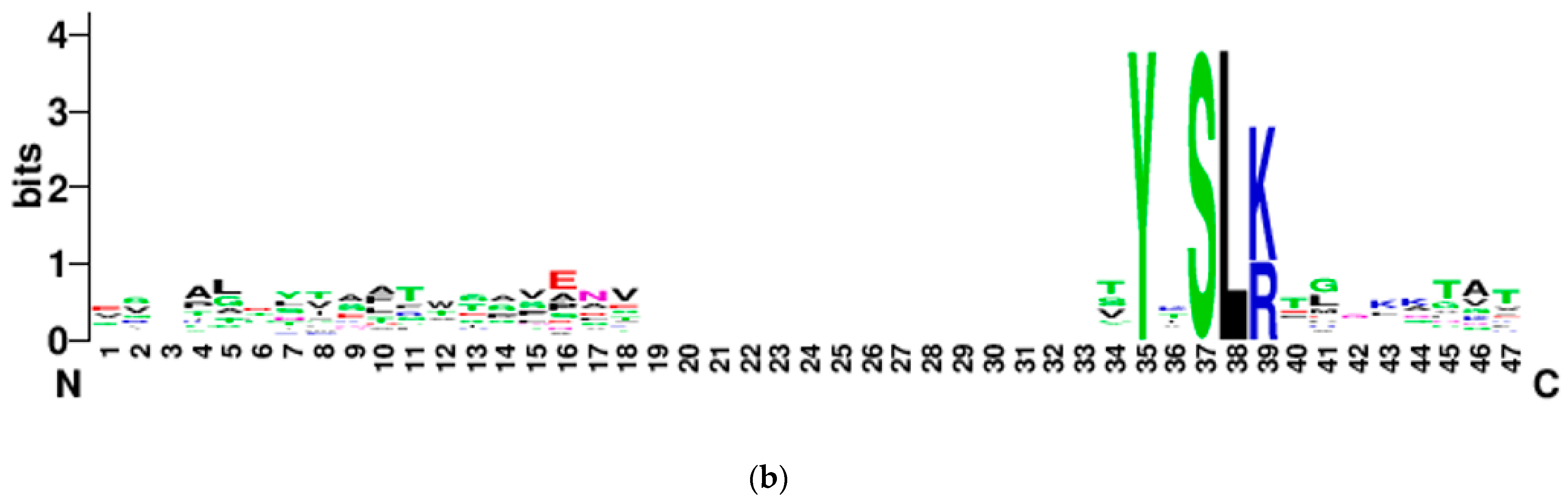 Ijms 22 09002 g004b Ijms 22 09002 g004b