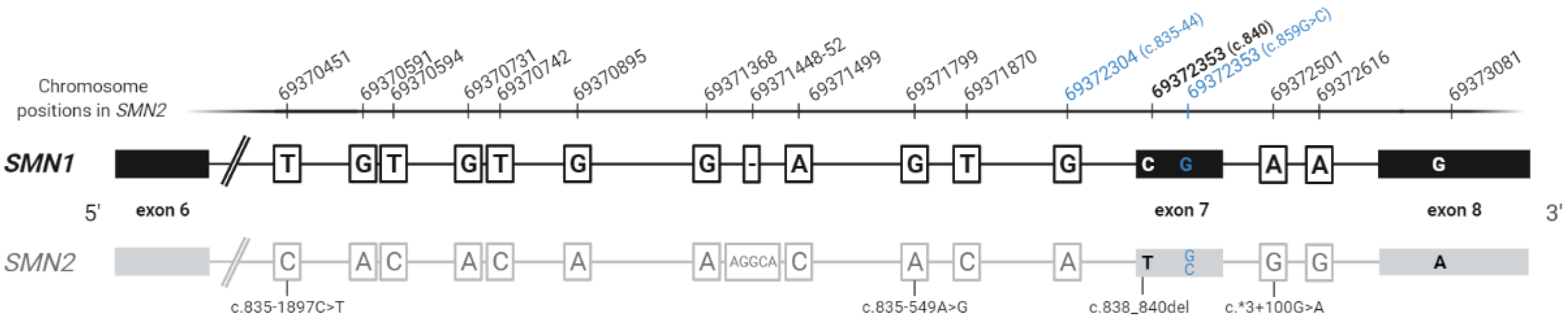 Ijms 22 09029 g001 Ijms 22 09029 g001
