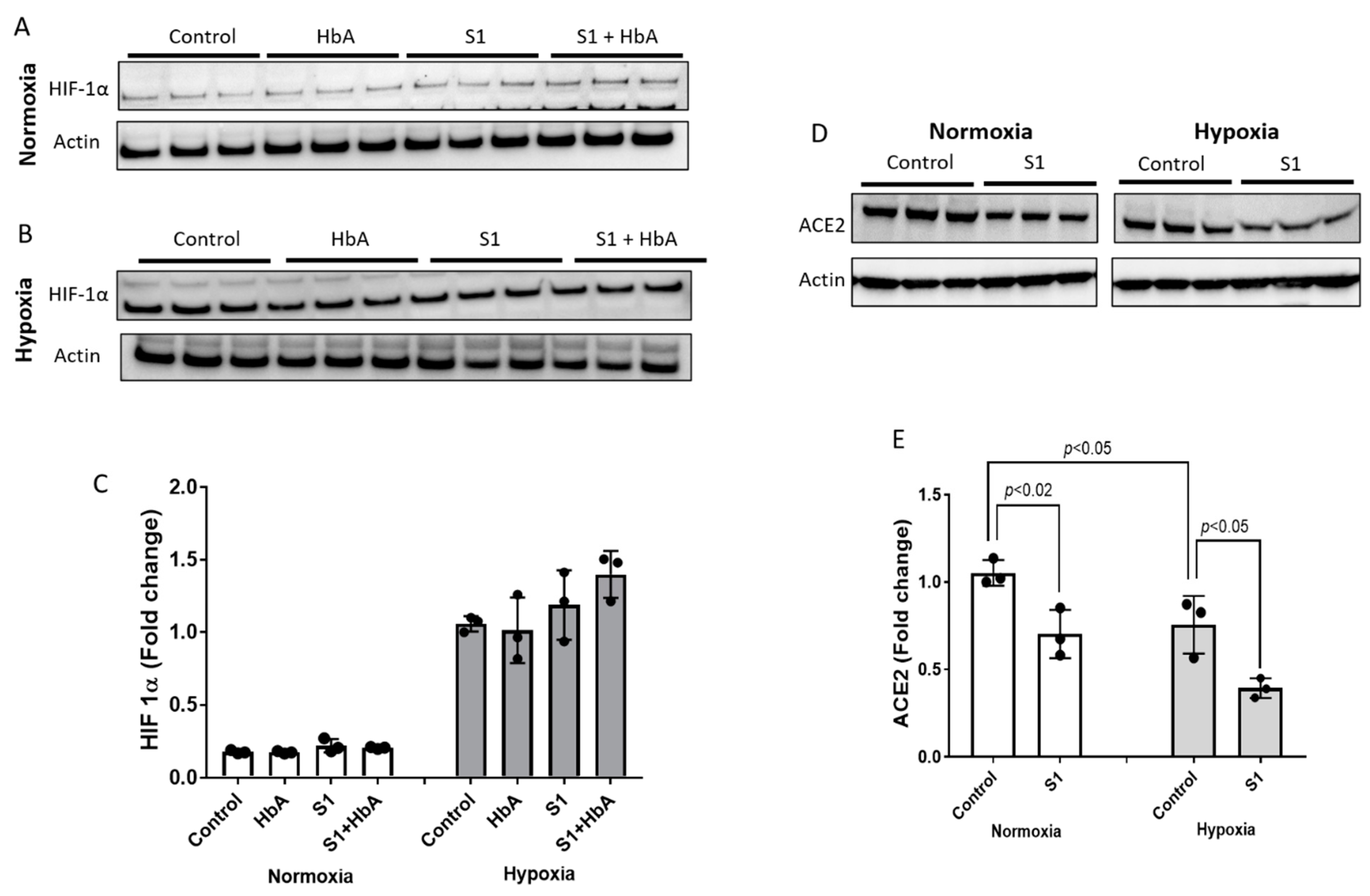 Ijms 22 09041 g003 Ijms 22 09041 g003