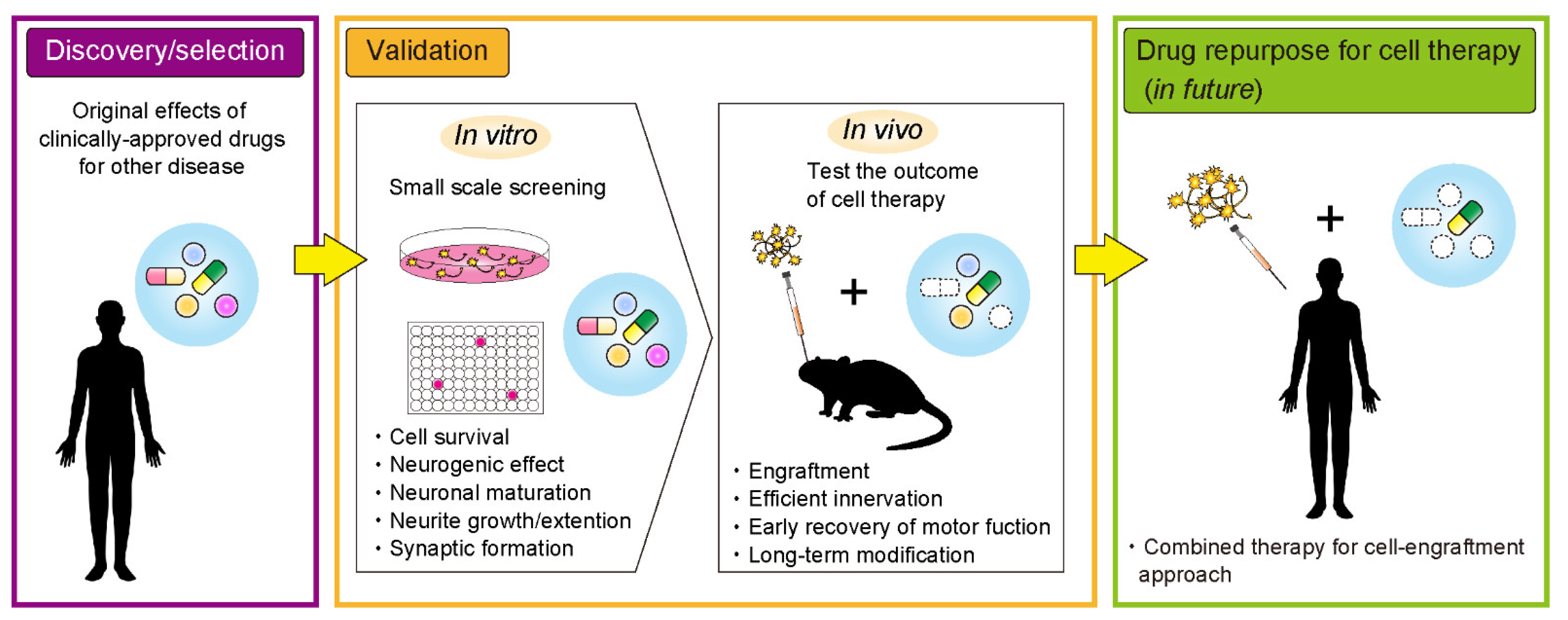 Ijms 22 09047 g001 Ijms 22 09047 g001