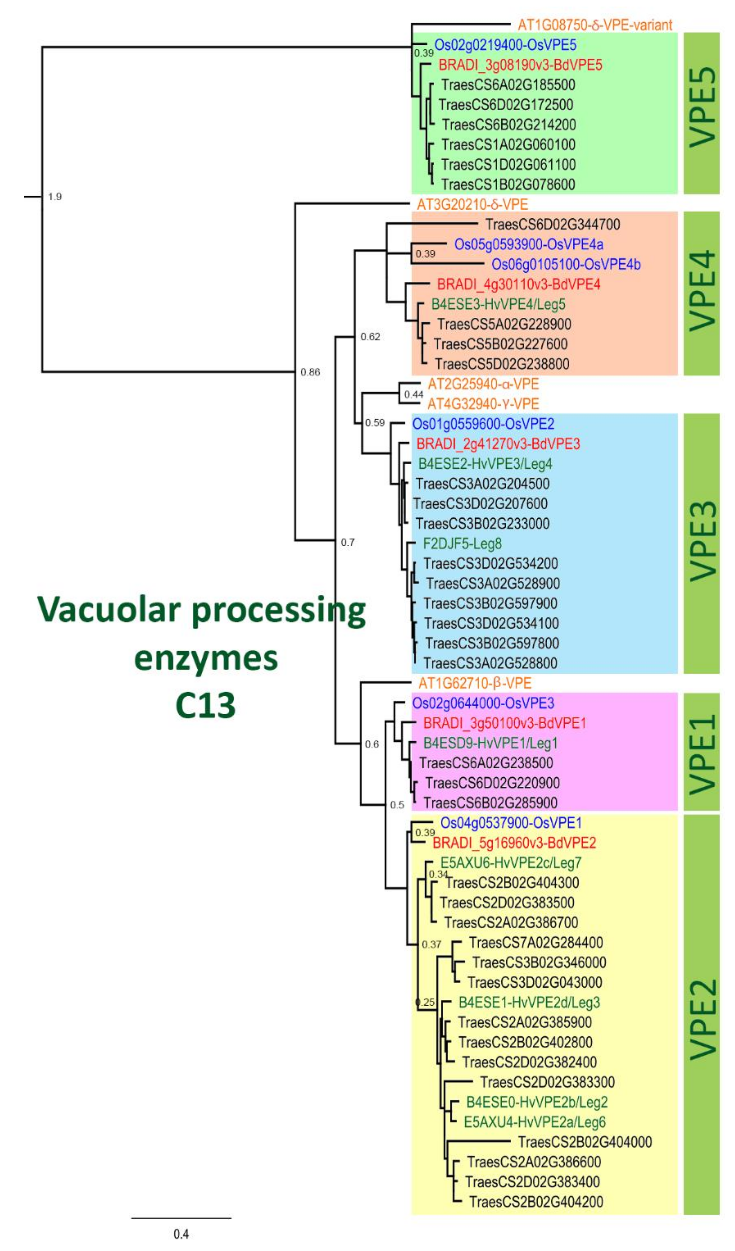 Ijms 22 09086 g004 Ijms 22 09086 g004