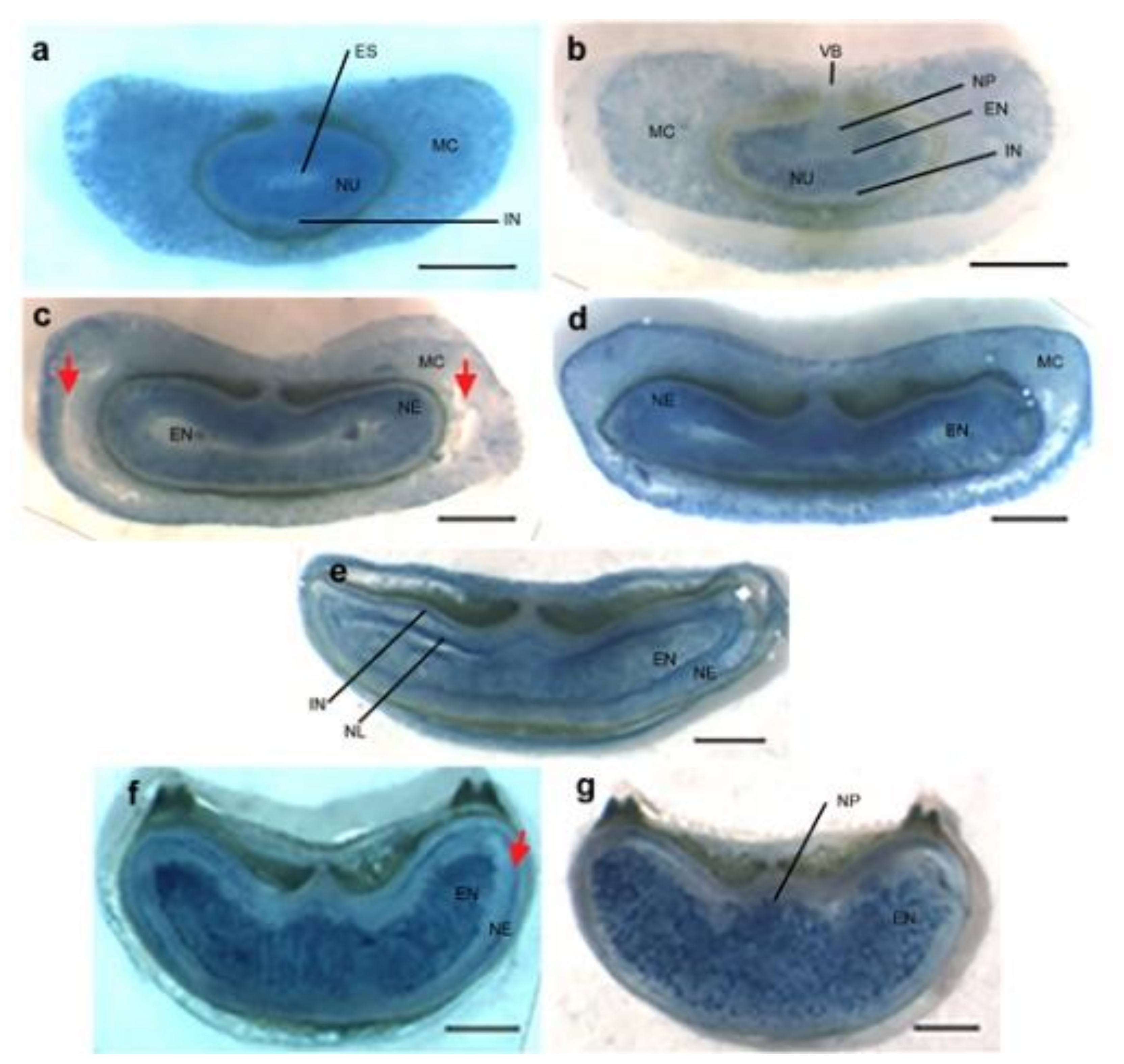 Ijms 22 09086 g0a1 Ijms 22 09086 g0a1