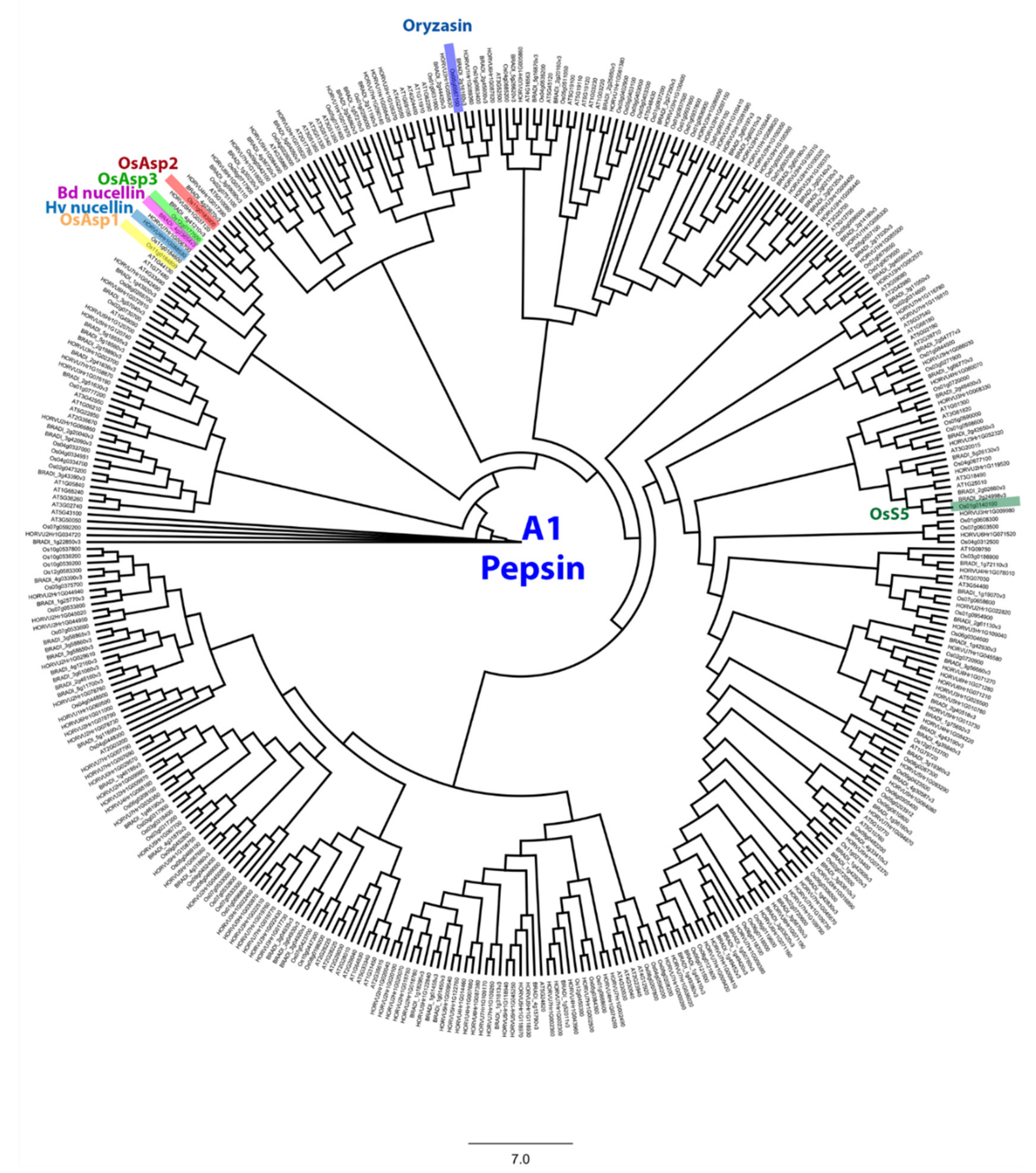Ijms 22 09086 g0a3 Ijms 22 09086 g0a3