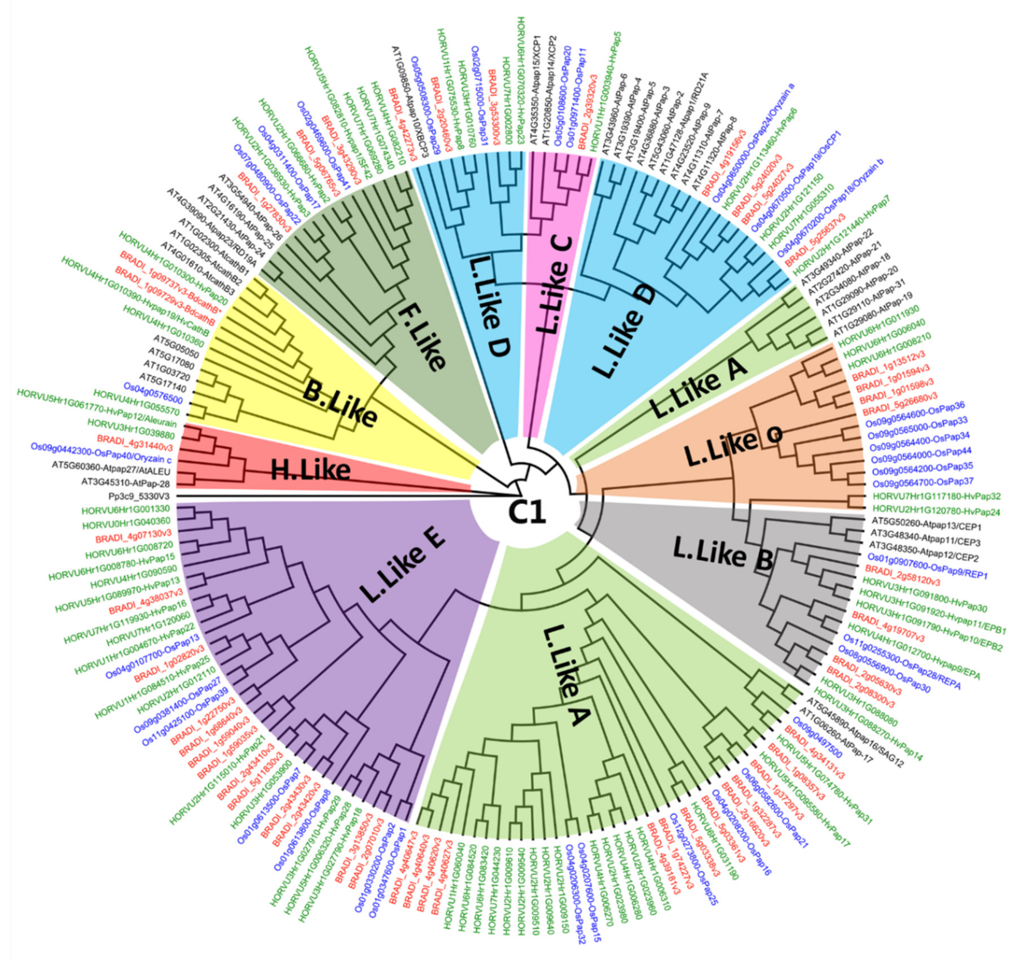 Ijms 22 09086 g0a4 Ijms 22 09086 g0a4