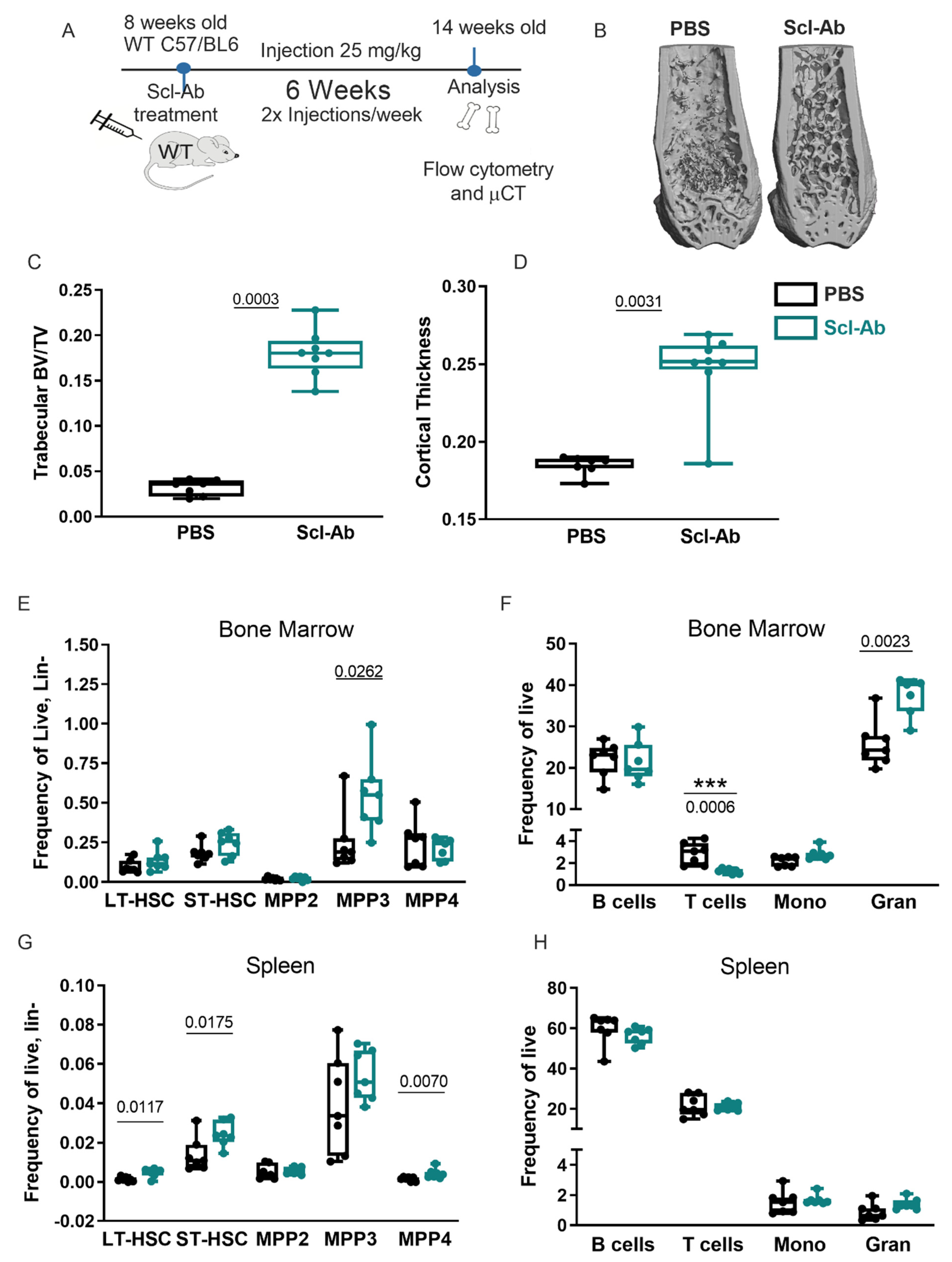Ijms 22 09111 g001 Ijms 22 09111 g001