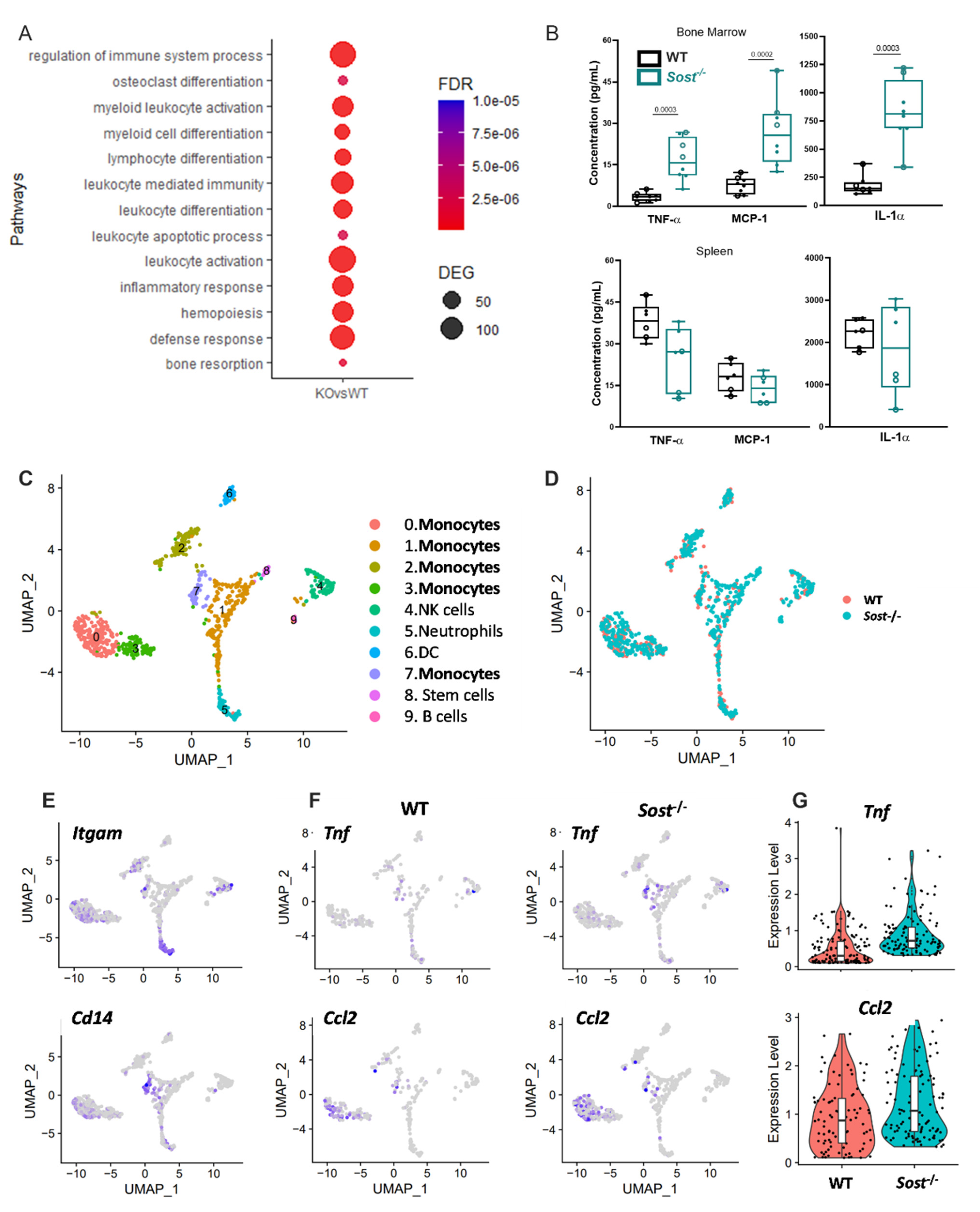 Ijms 22 09111 g004 Ijms 22 09111 g004