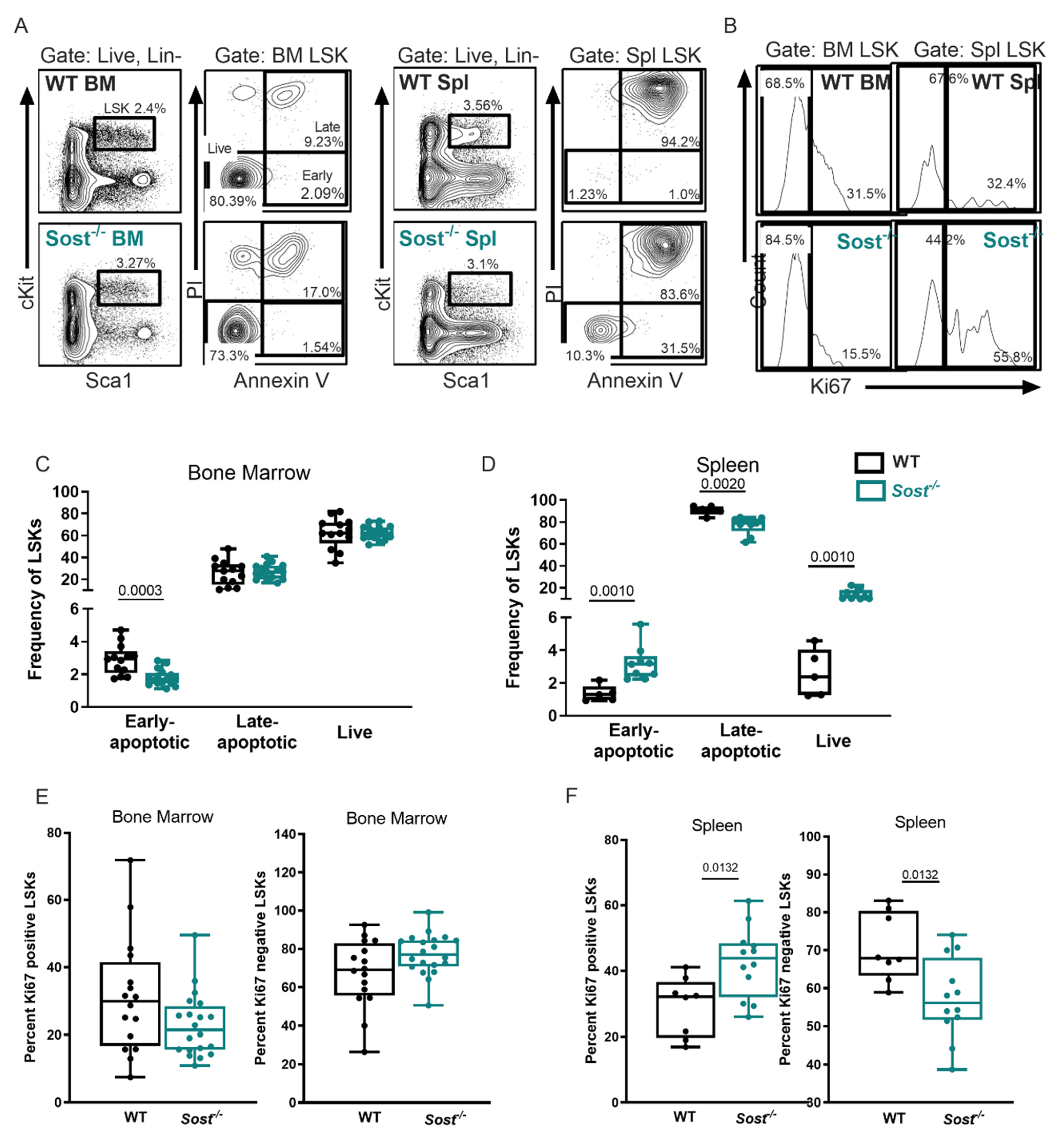 Ijms 22 09111 g005 Ijms 22 09111 g005